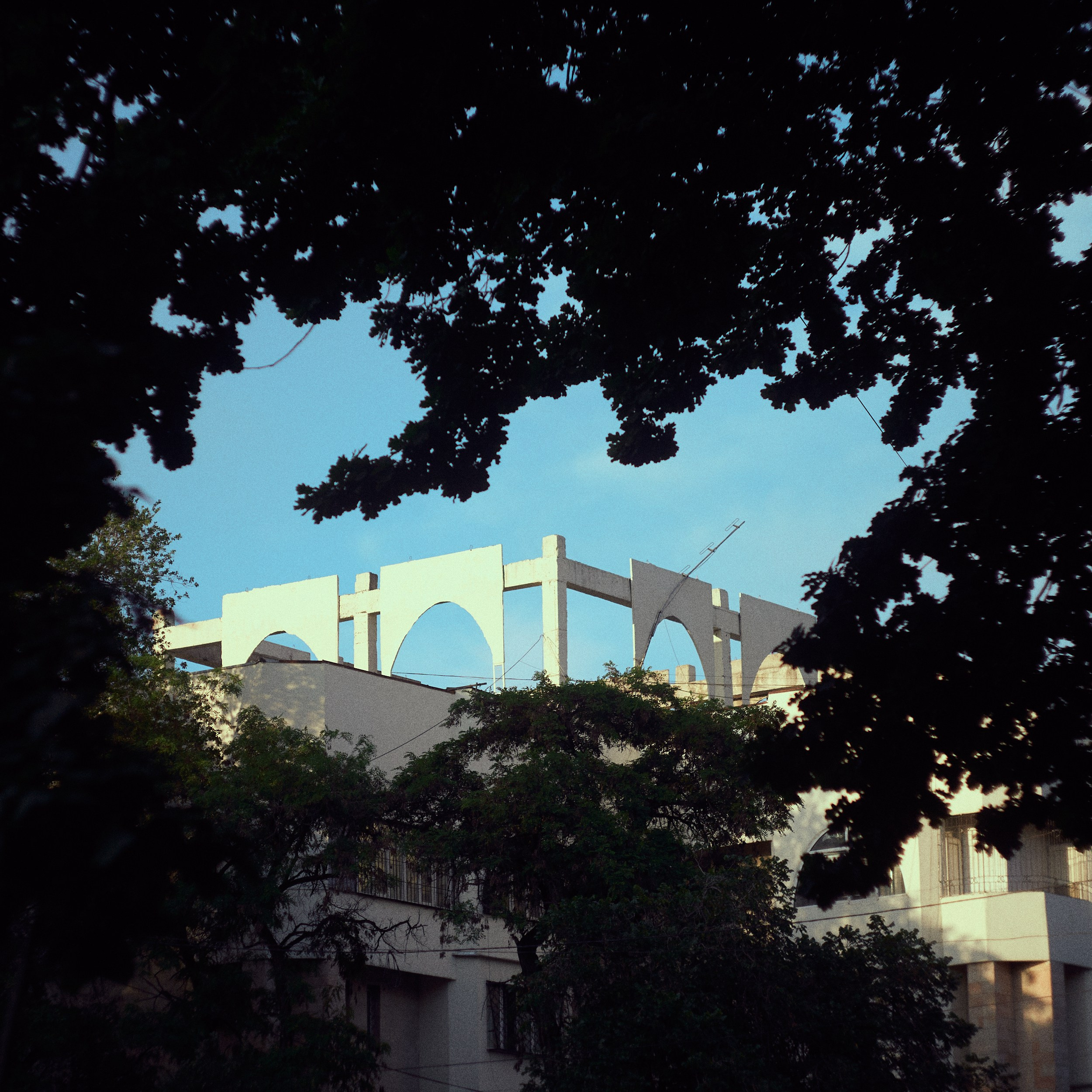 Street. The Photographer