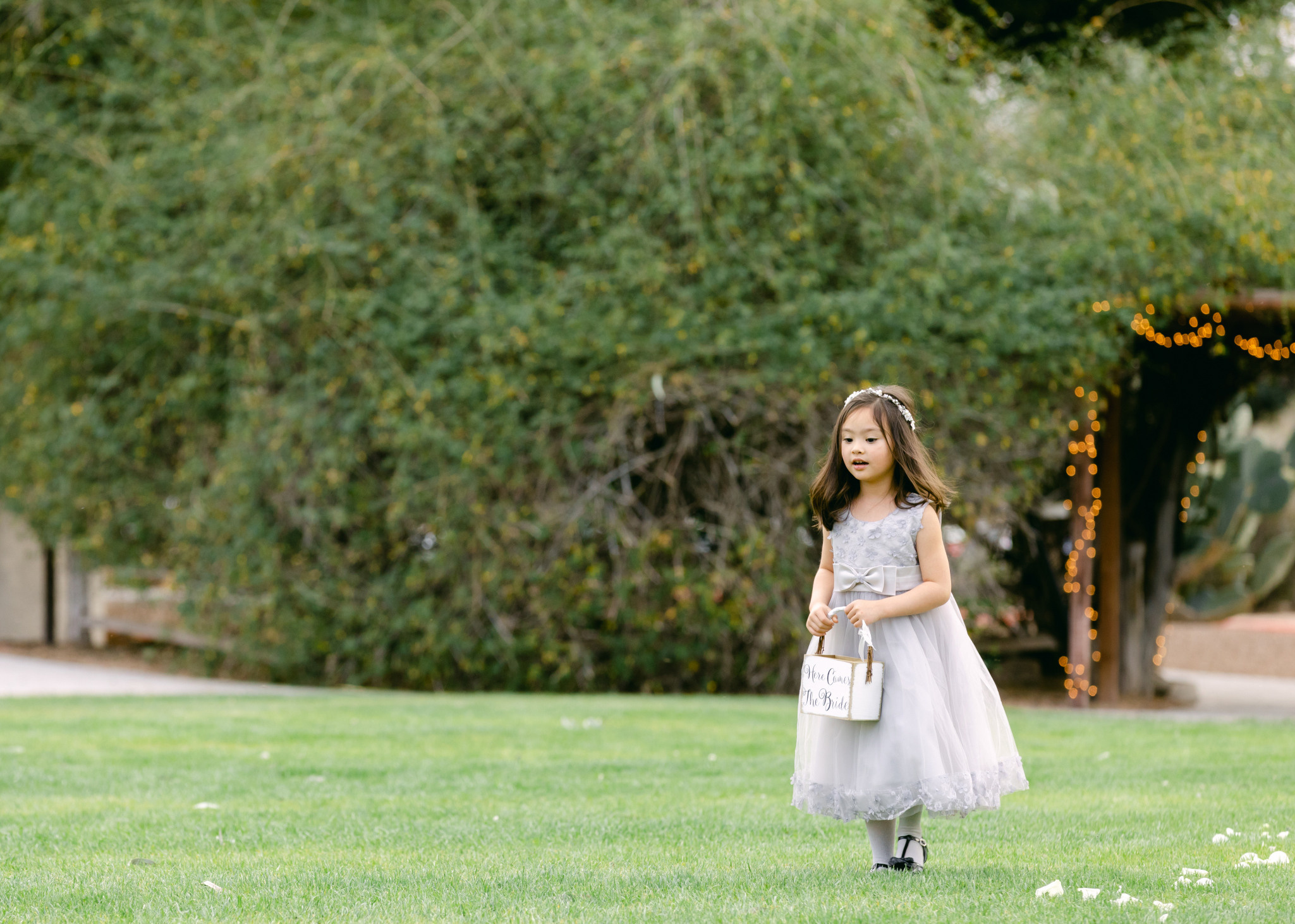 Hannah & Donovan. Anastasia Post: Wedding and Editorial Photography