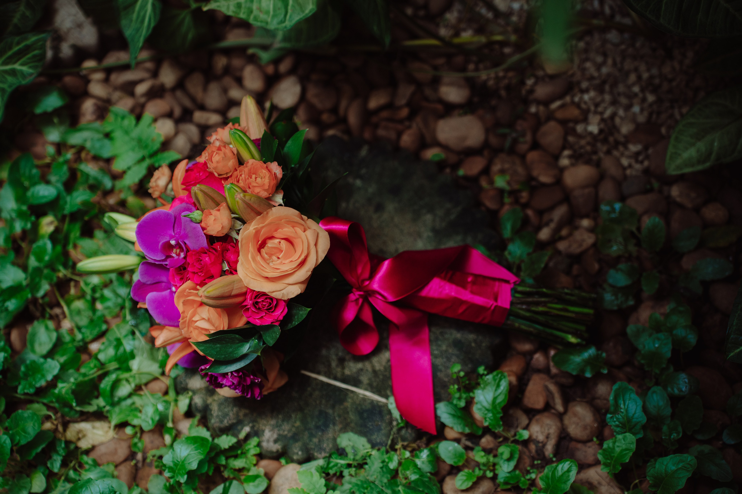 Andréia & Edson. O Casal Dos Noivos