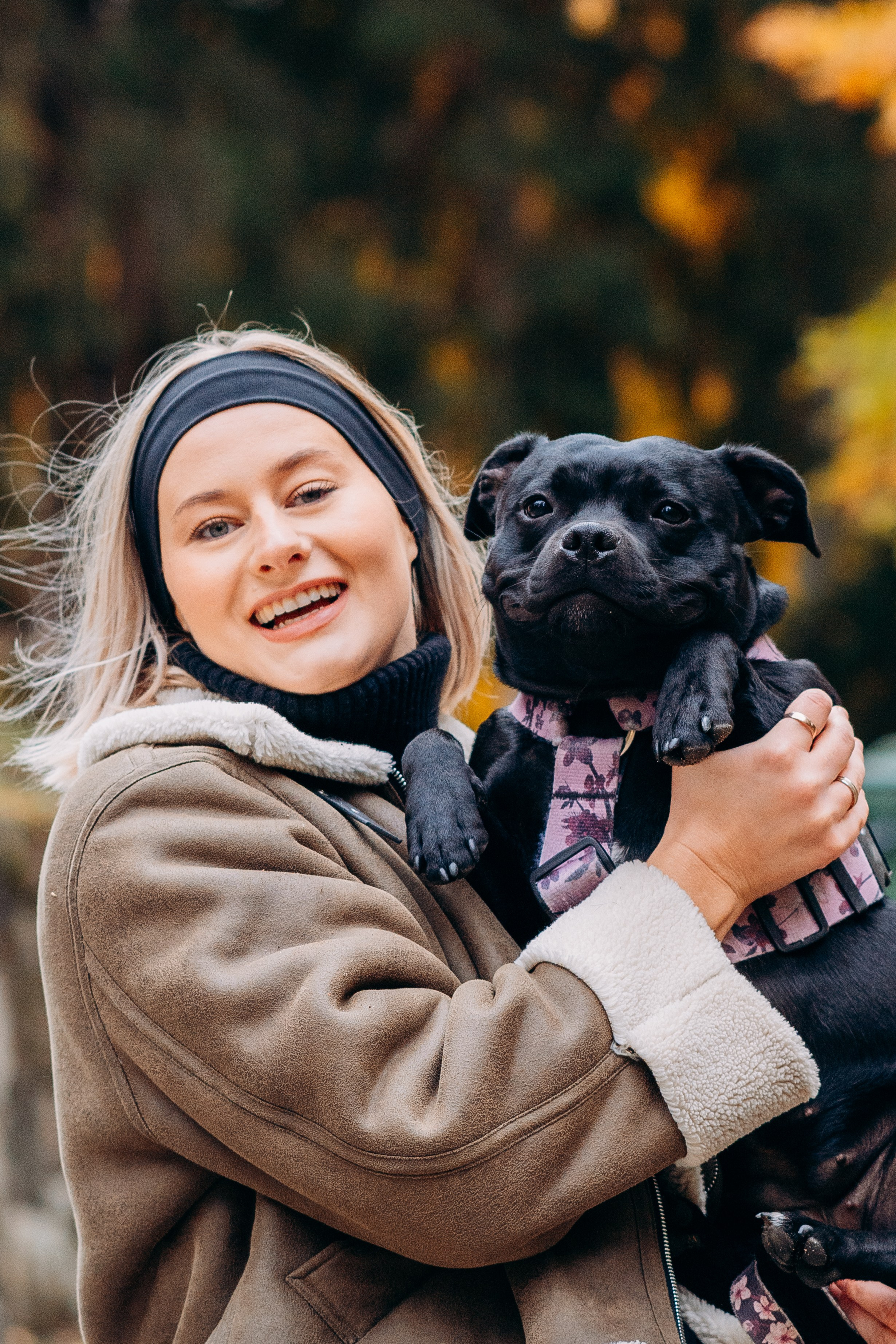 Staffordshire Bull Terriers Meetup. Kat Laisaar — Pet photographer in Tallinn