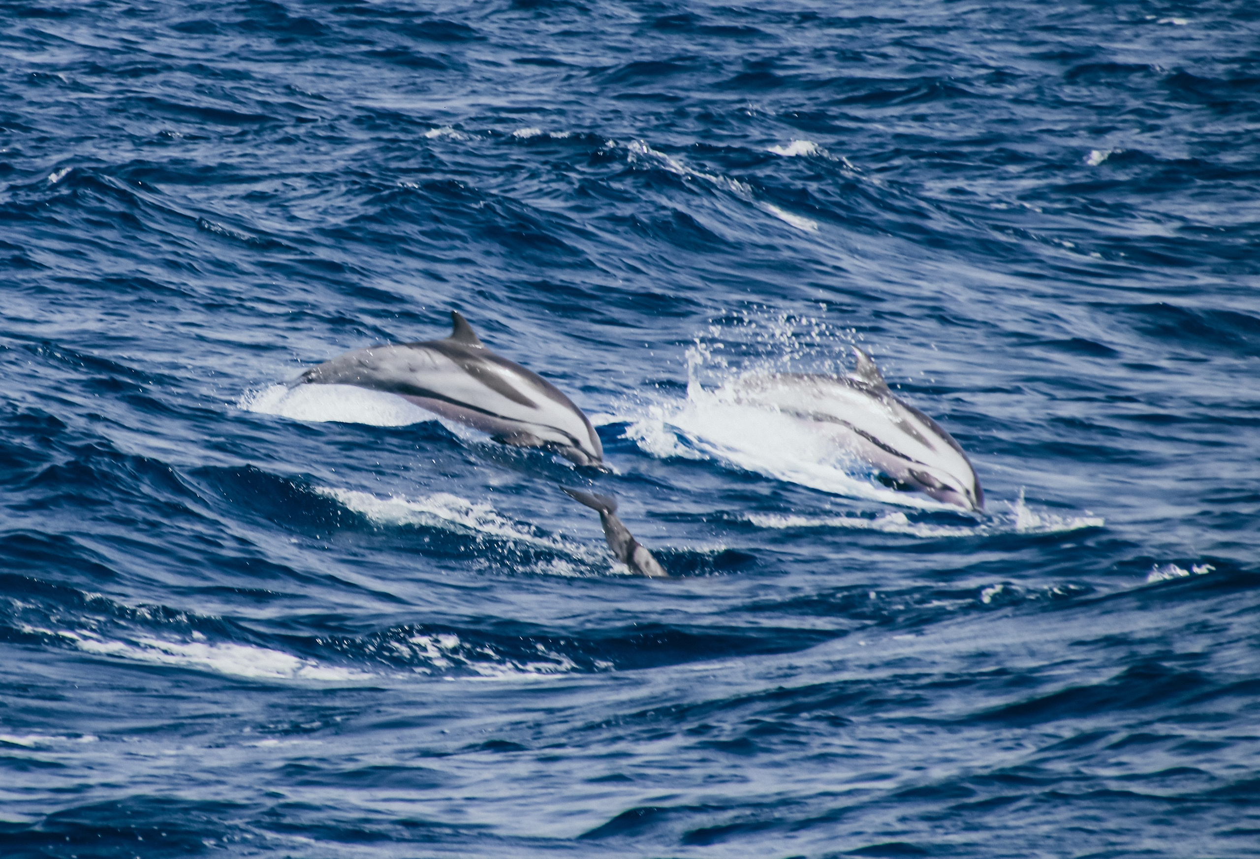 Gran Canaria 2025. Photographer Marina, city of Nuremberg