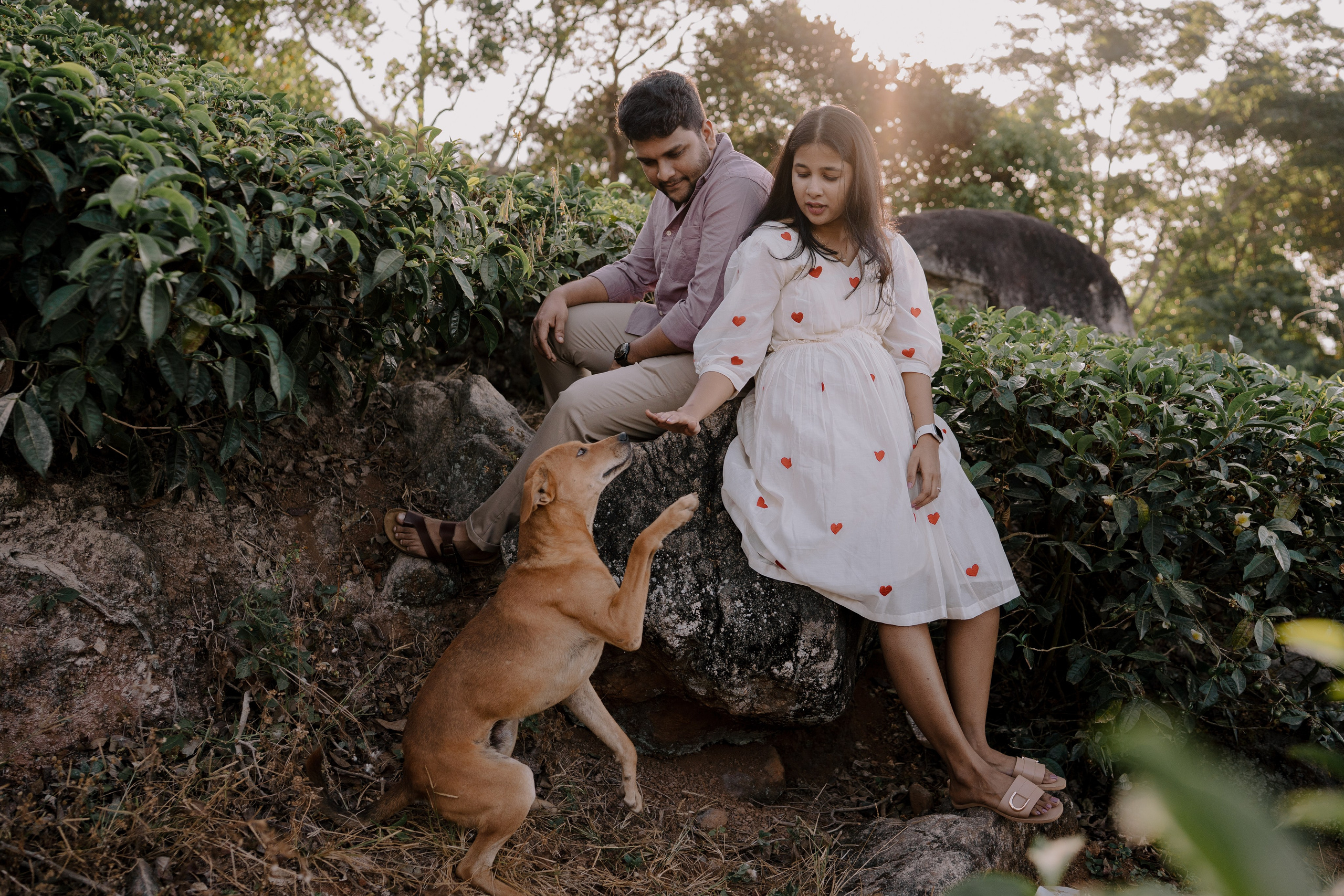 Greeshma & Vignesh. Agam Vizha