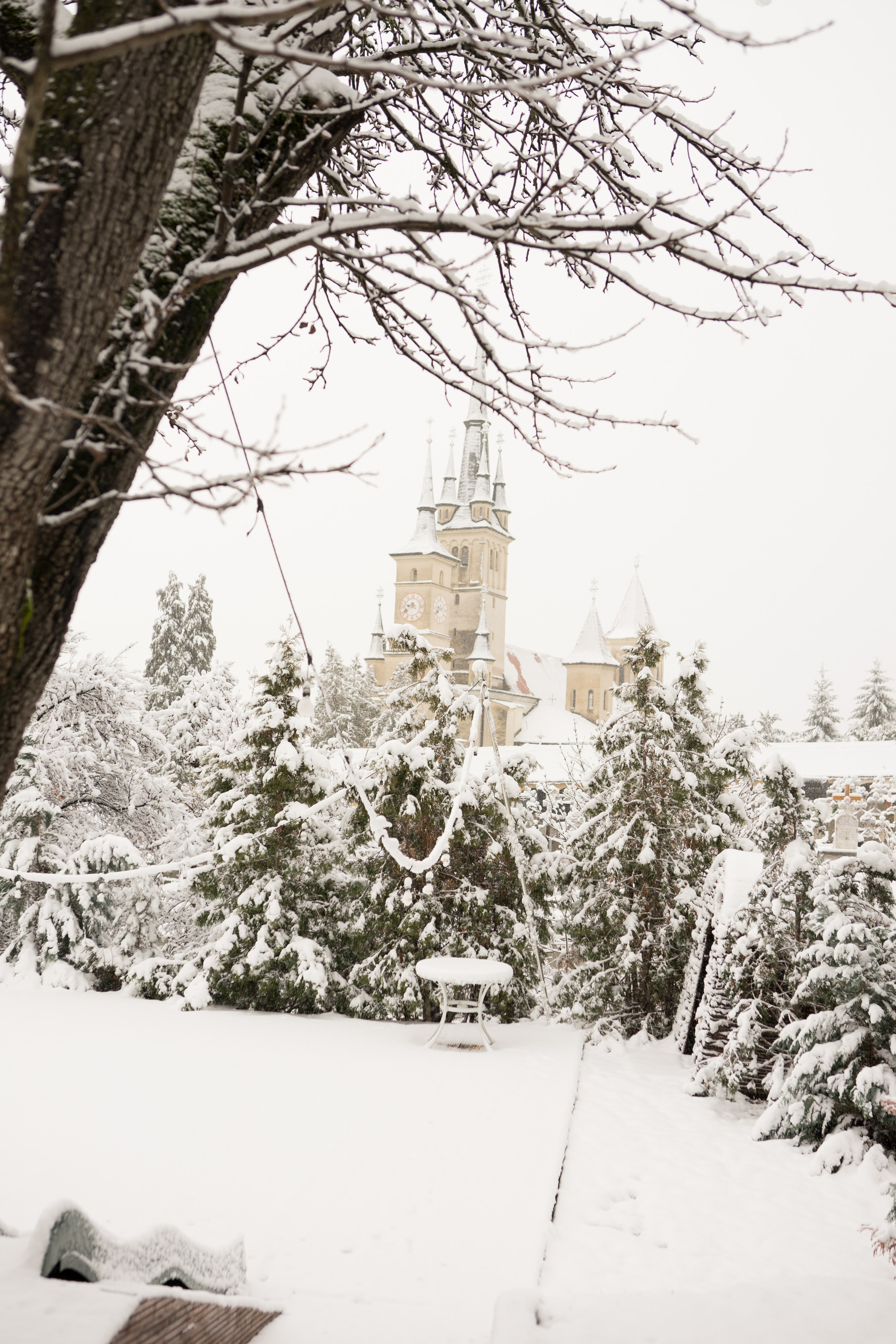 Fotografie de Eveniment Brașov: Povești Vizuale | Mădălina Beda. Madalina Beda- Artist vizual, fotograf, doula la nastere, consultant babywearing Brasov si in toata tara