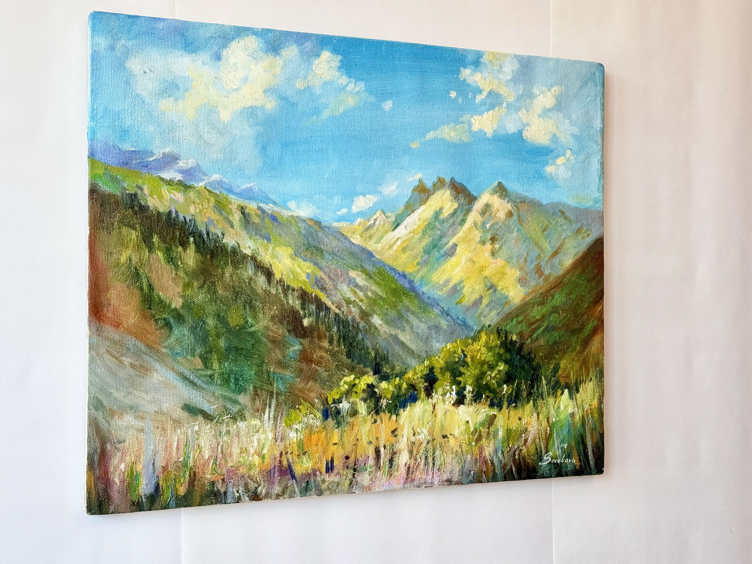 «Meadow on highlands». Художник живописец Савелова Ольга