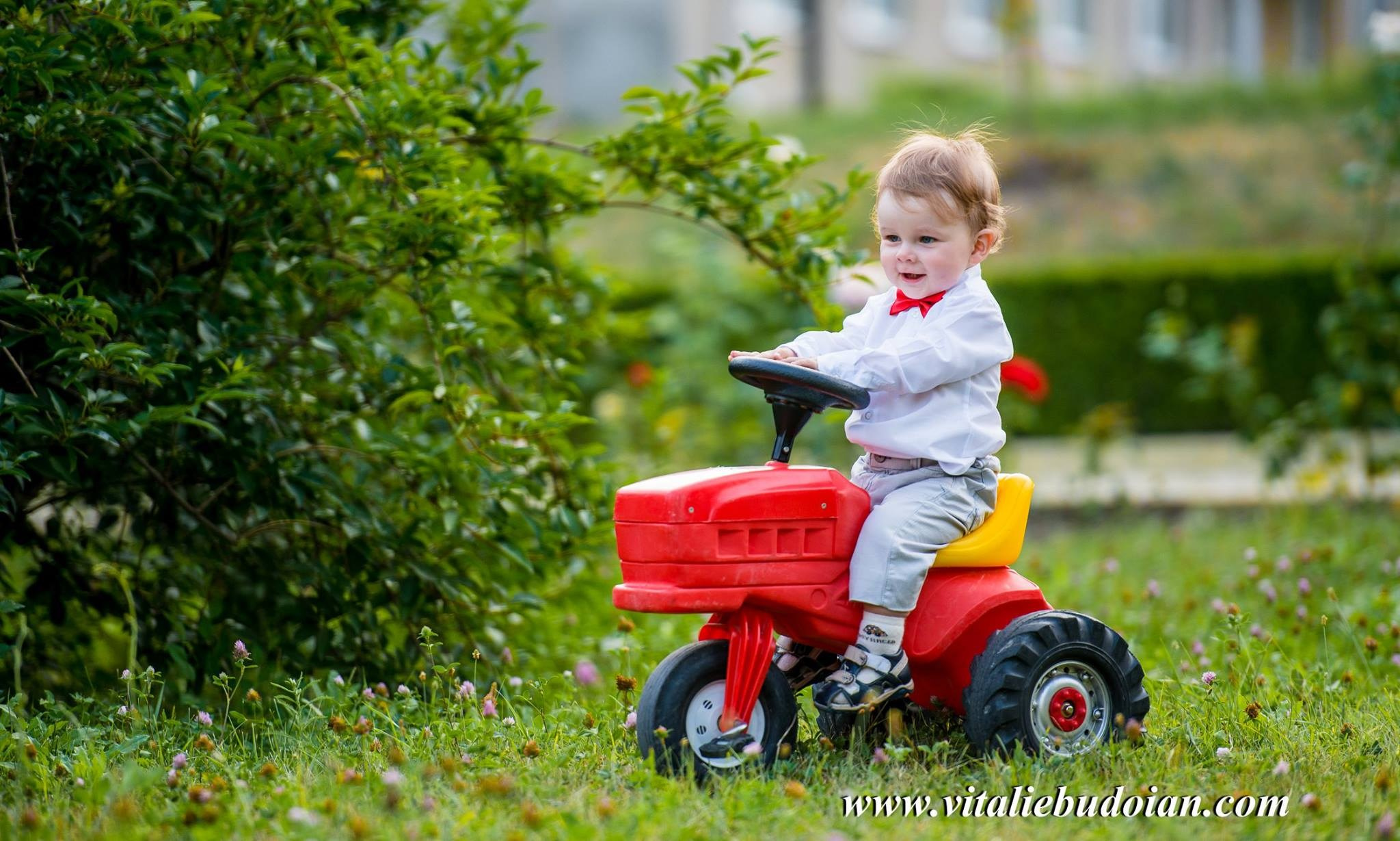 D&D+LAUERNTIU. Fotograf de familie Vitalie Budoianu