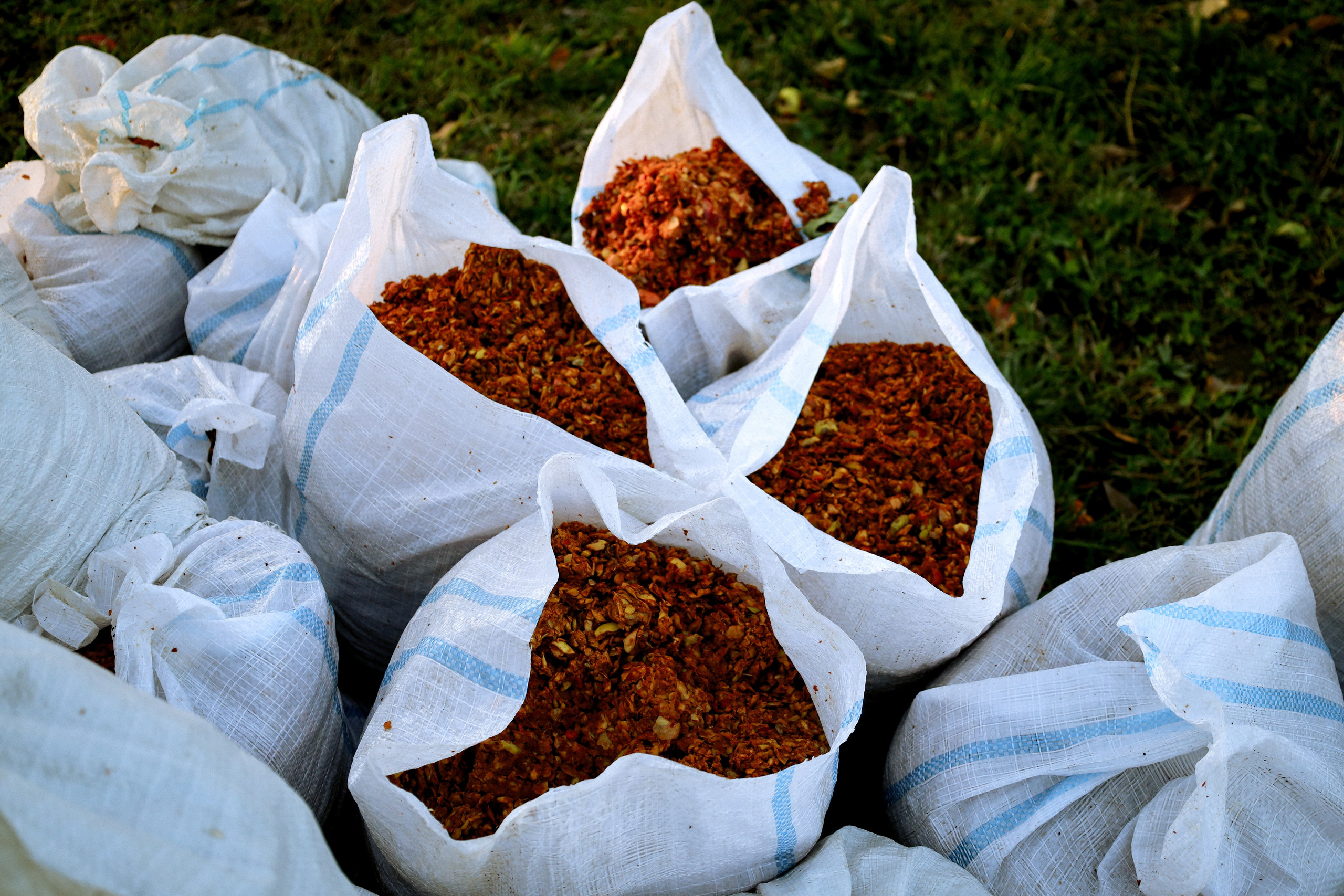Factory reportage (hand-crafted cider). Asmikiam
