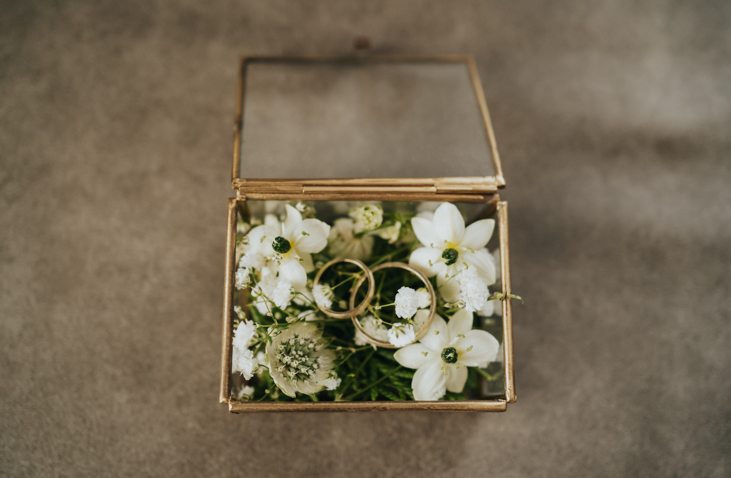 T & I. Fotograf Nunta Iasi - Hearts & Pictures