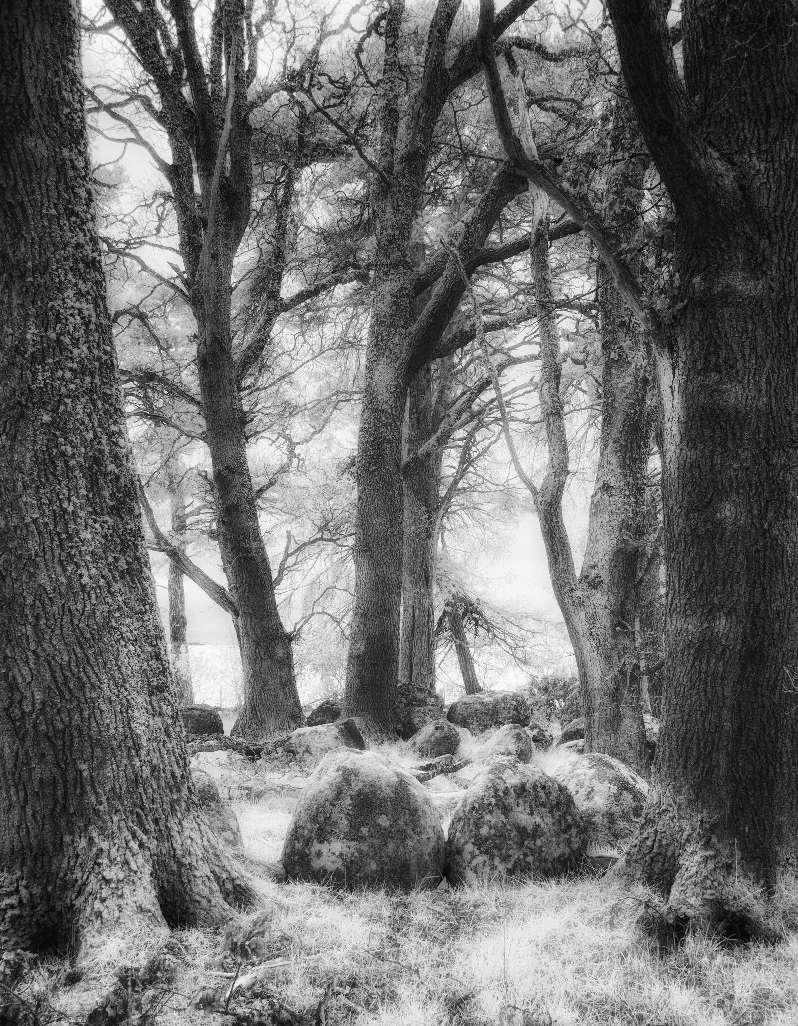 Ancient Sites. Infrared Scotland