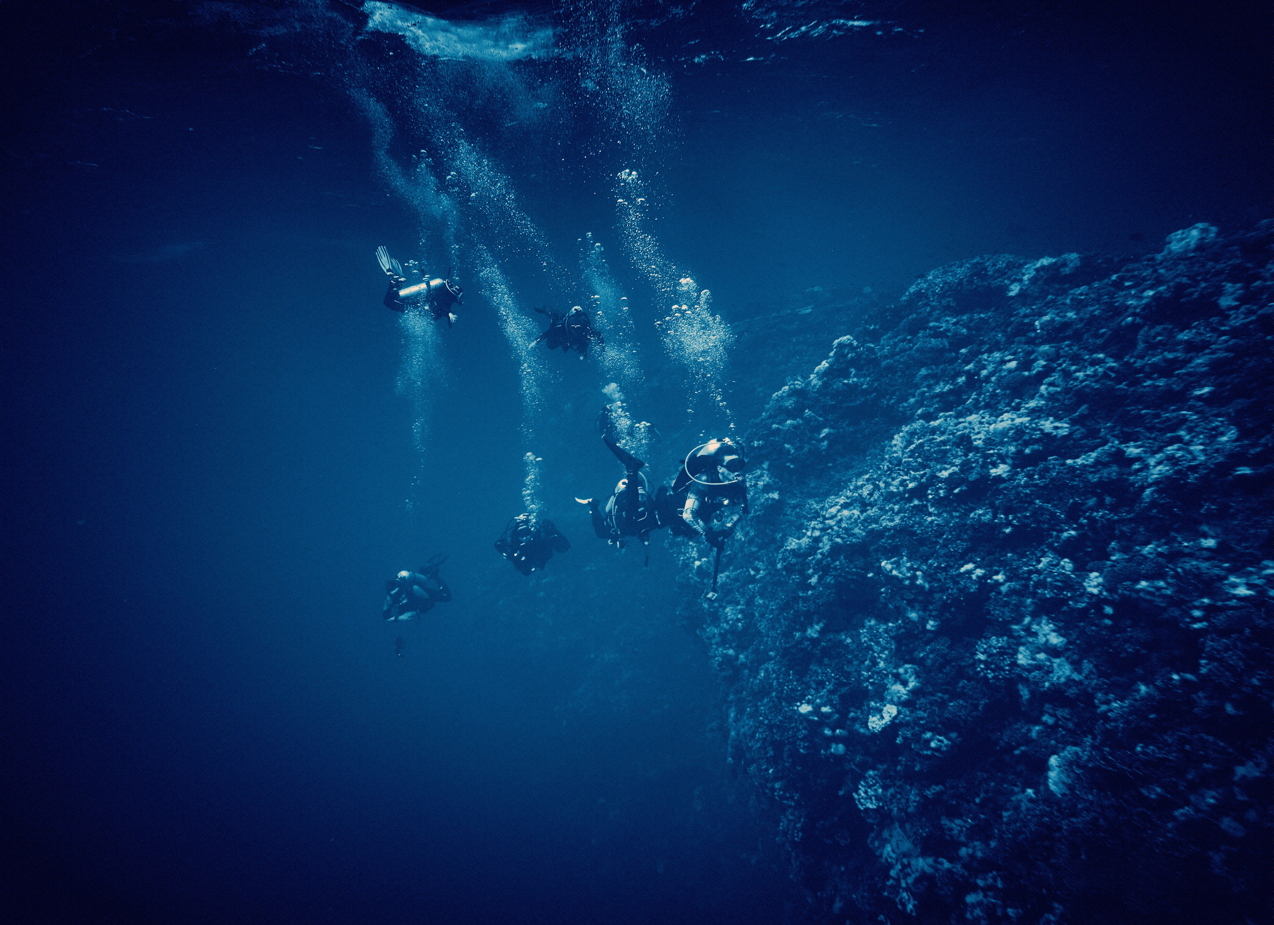 2023-11 - Diving Safari Deep South Egypt. Andriej Szypilow — Photography & Videography