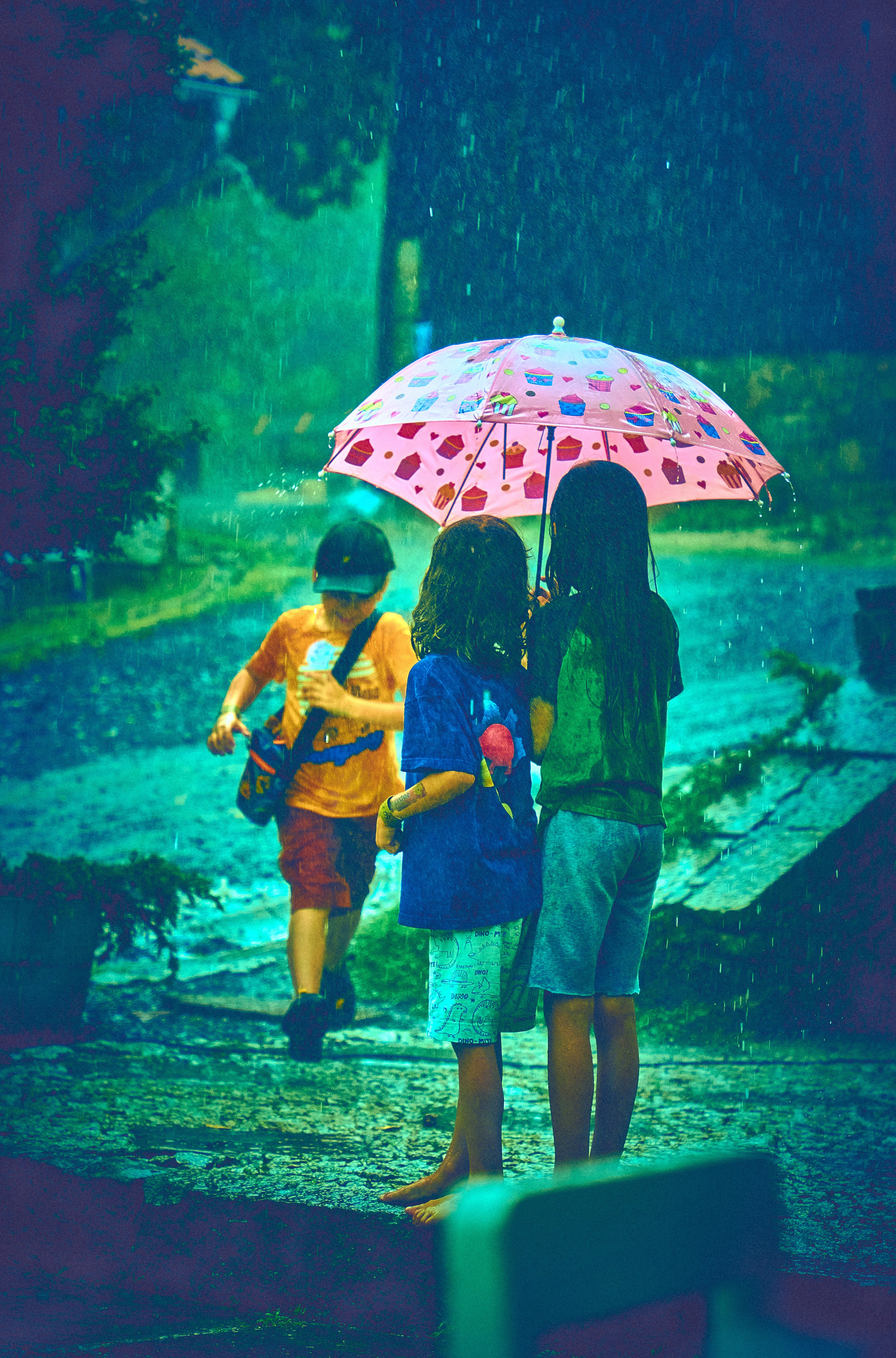 Первый День рождения Бирюзового Острова (Turkusowa Wyspa). Андрей Шипилов — Фотография & Видеография