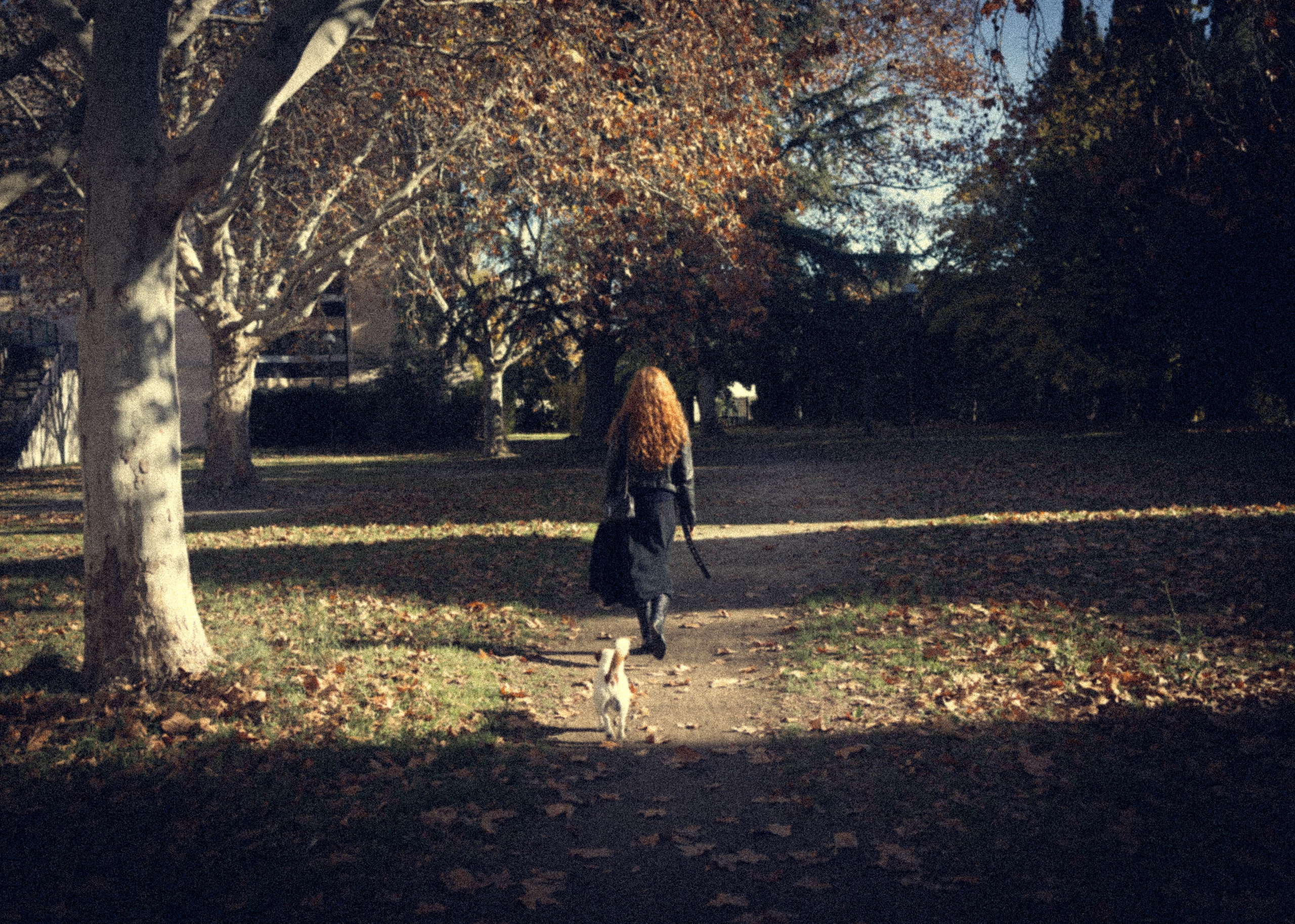 Sunrise. Histoires d’amour, séances photos de famille et de mariage en France