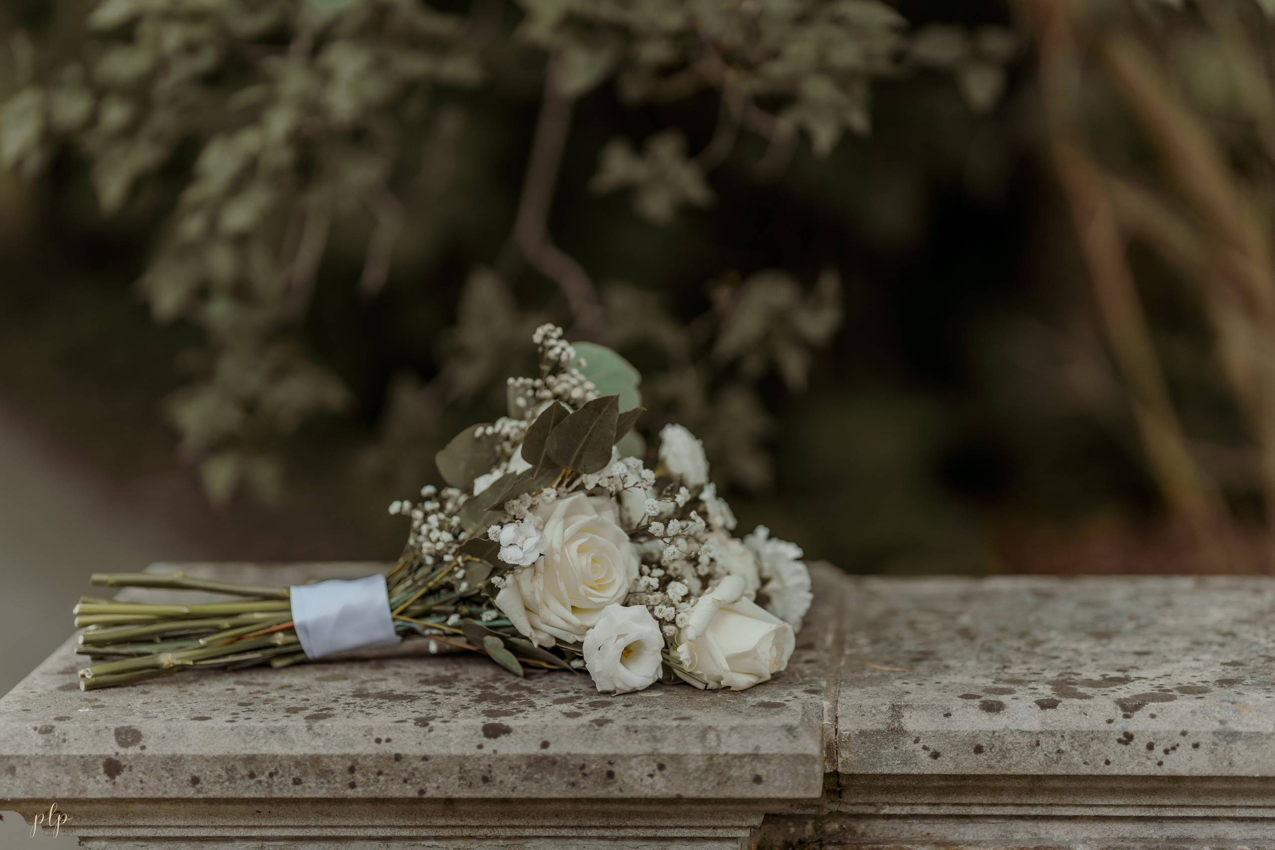 Indrani & Marc. Wedding Photographers and Filmmakers