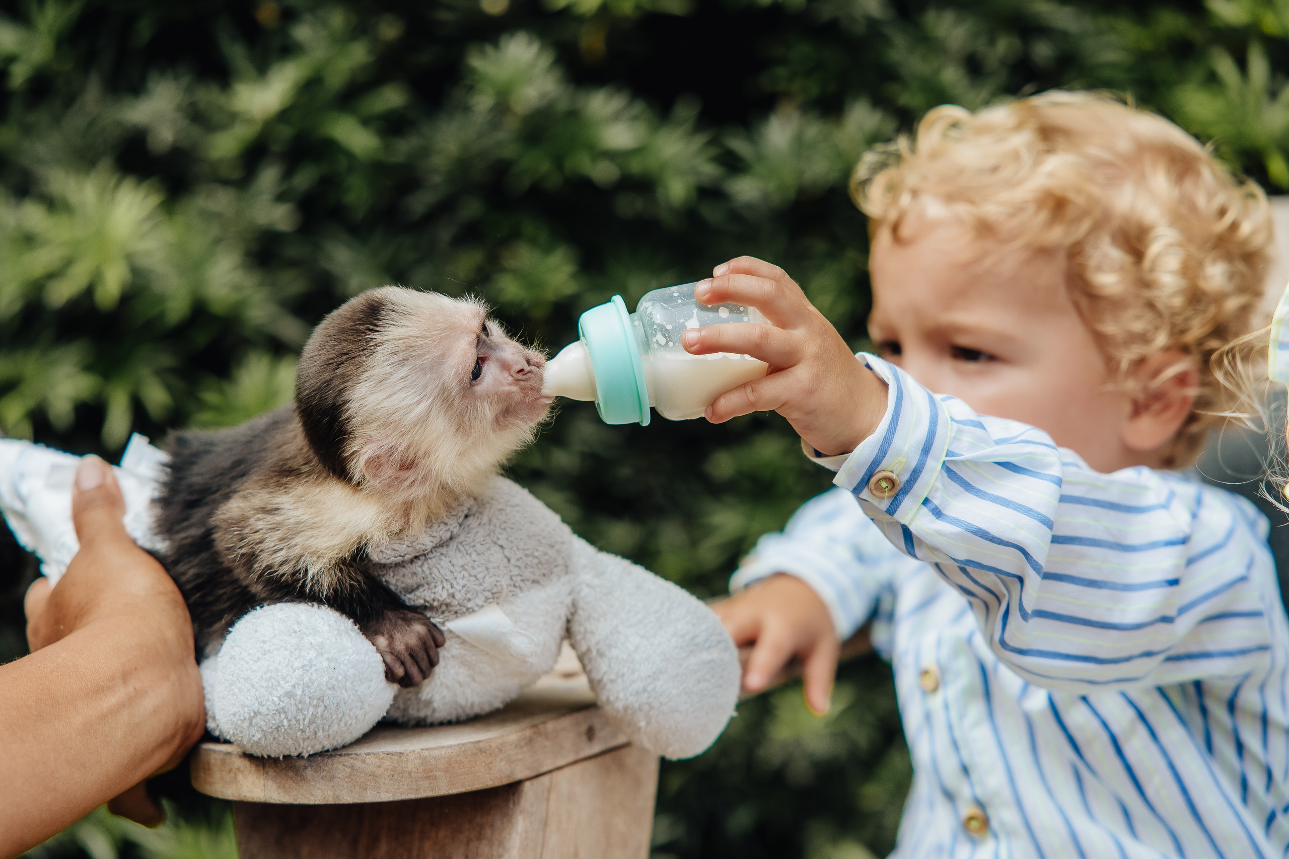 Kids Party. Alya Leto Photographer