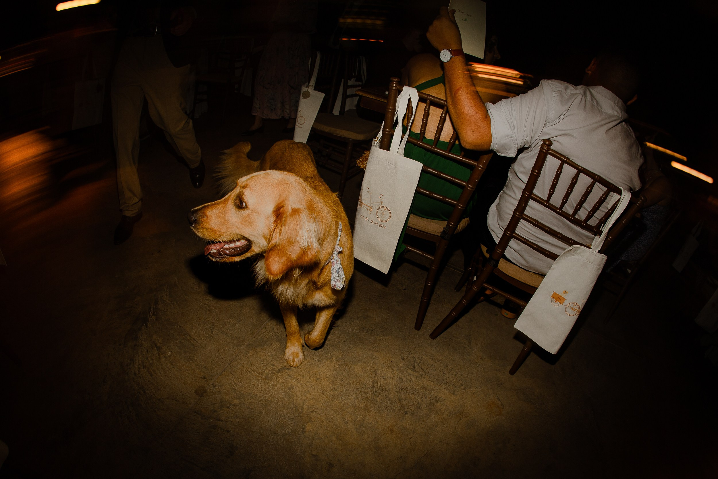 Casamento Alana e Malo / Sombra do Jatobá, Barretos — SP. Gustavofto