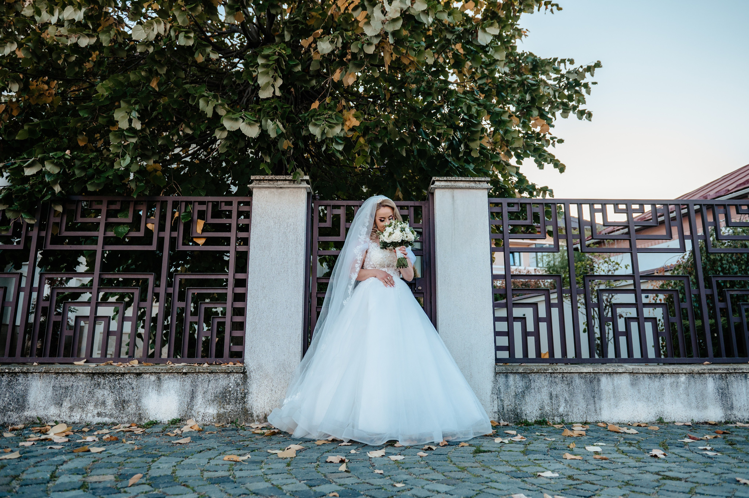 Adelina & Ovidiu. Ionut Birceanu