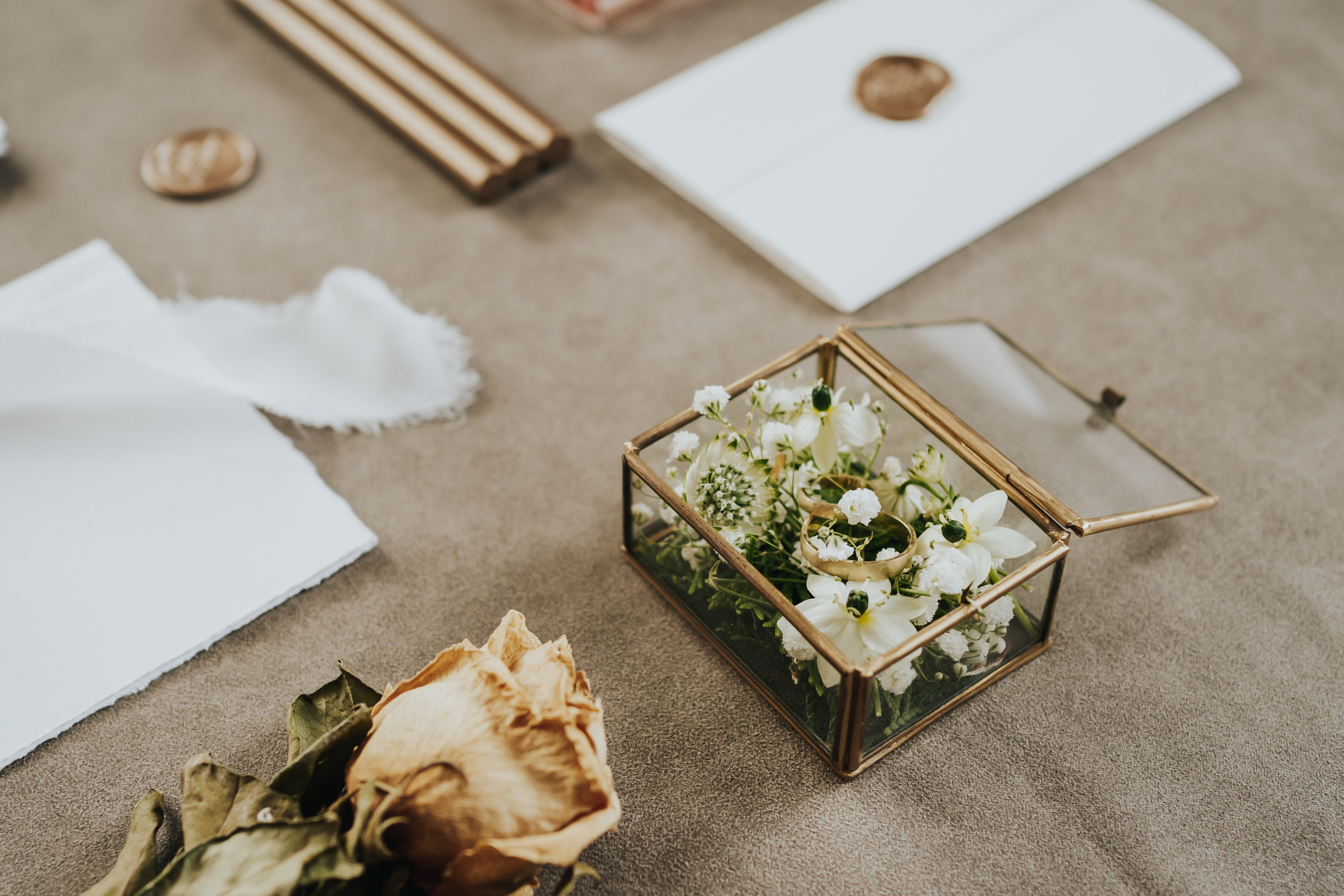 T & I. Fotograf Nunta Iasi - Hearts & Pictures