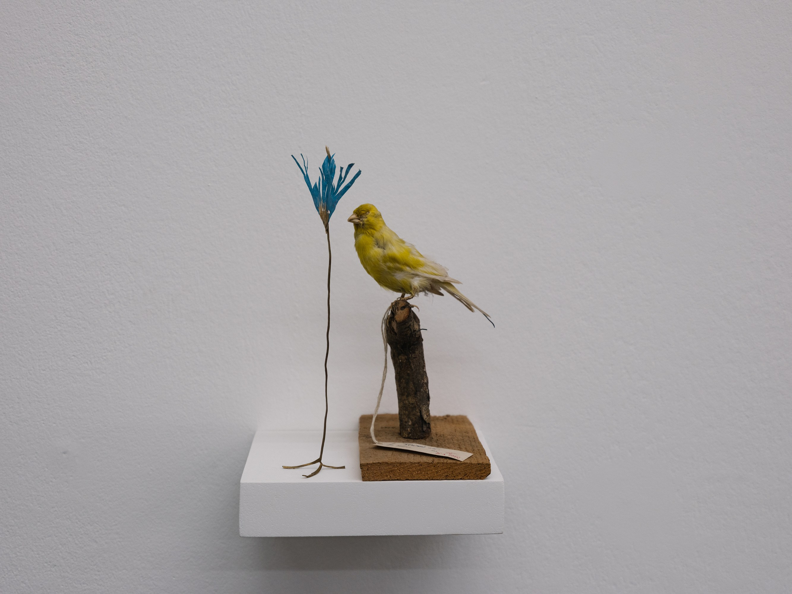 An Opera. Photographer Viktor Nikishov