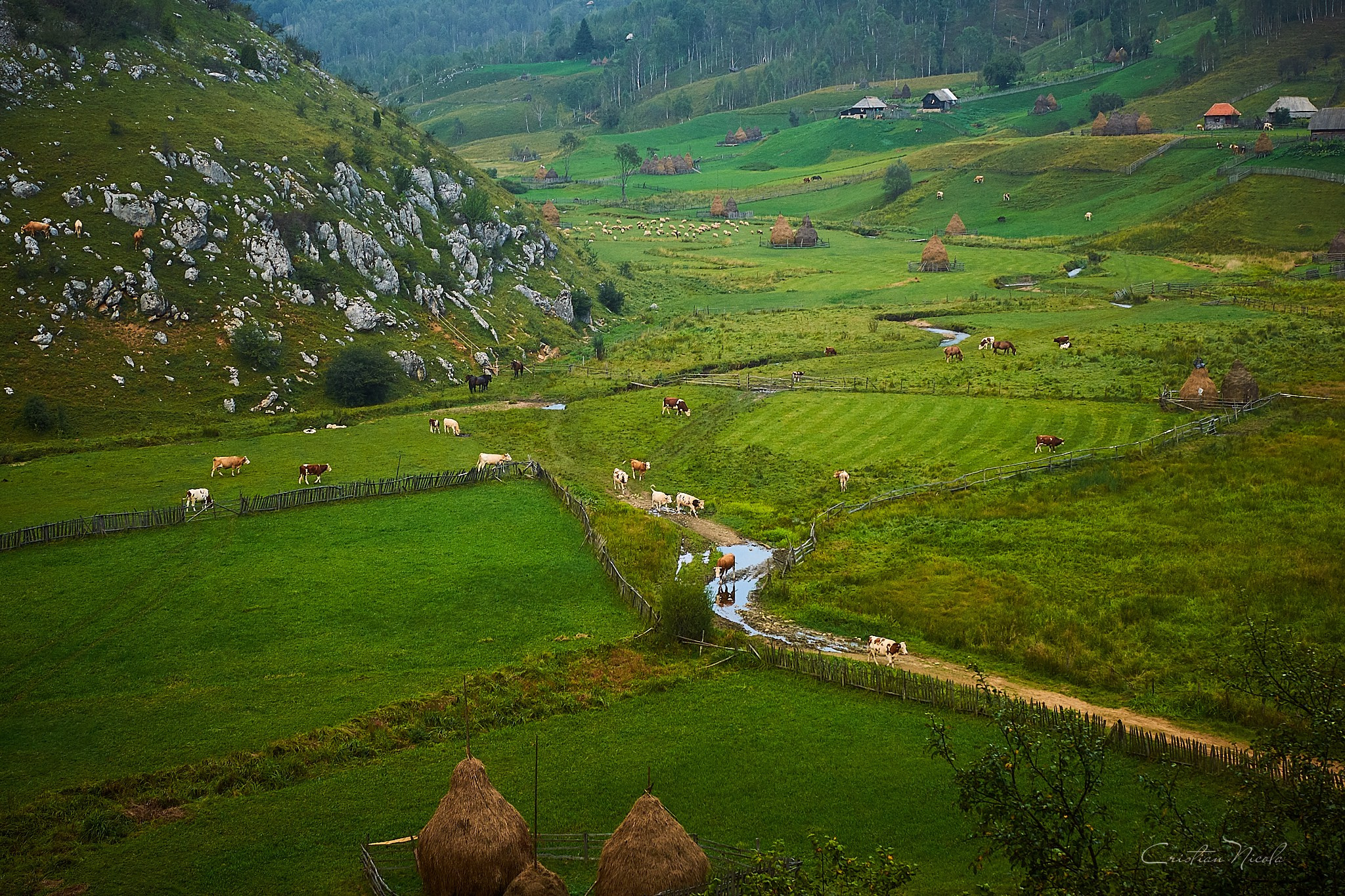 Fundătura Ponorului, jud. Humedoara. Pagina principală