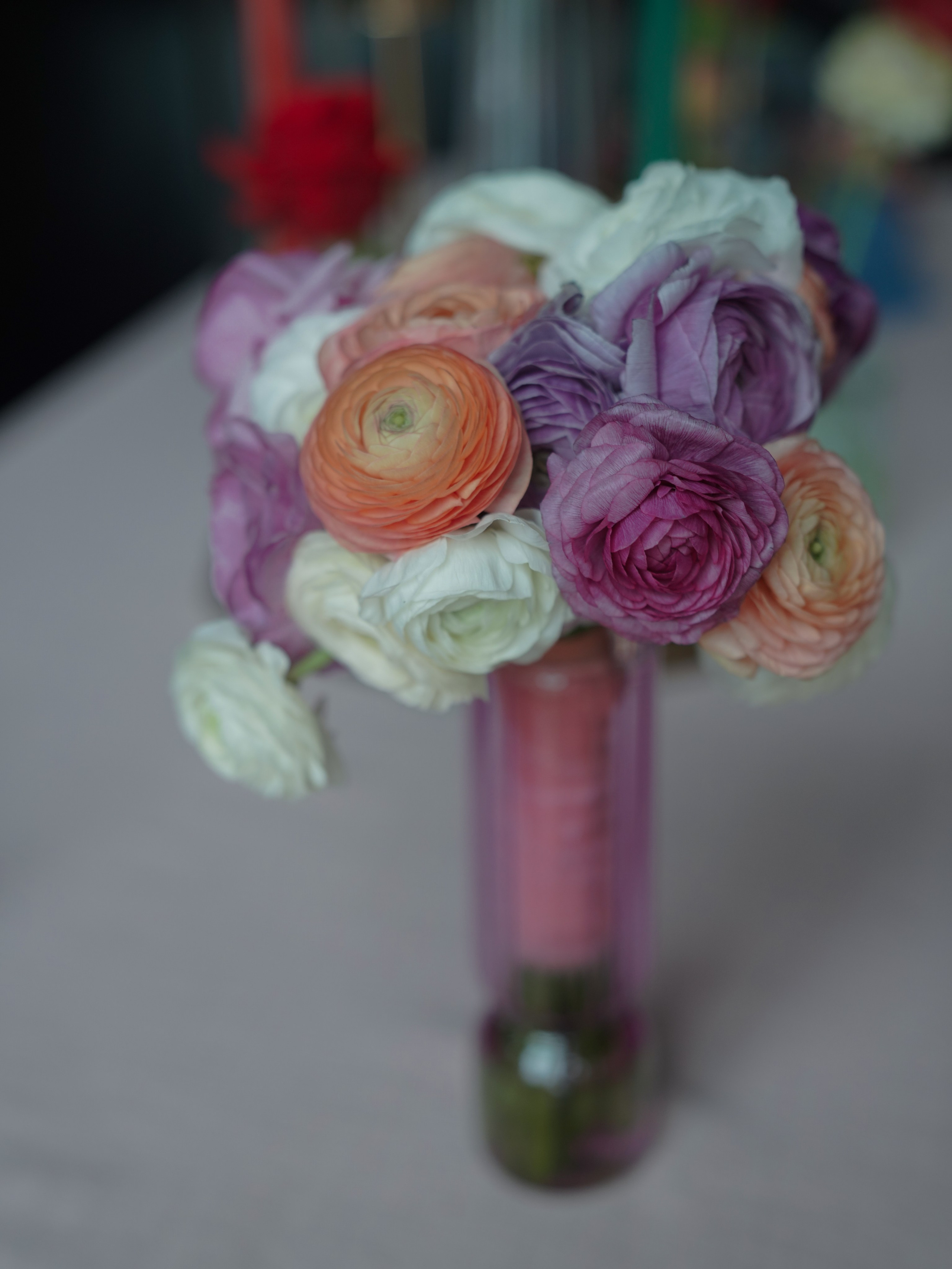 Anastasia & Nicholas | Love Above the Clouds | Ouray, Colorado. Main