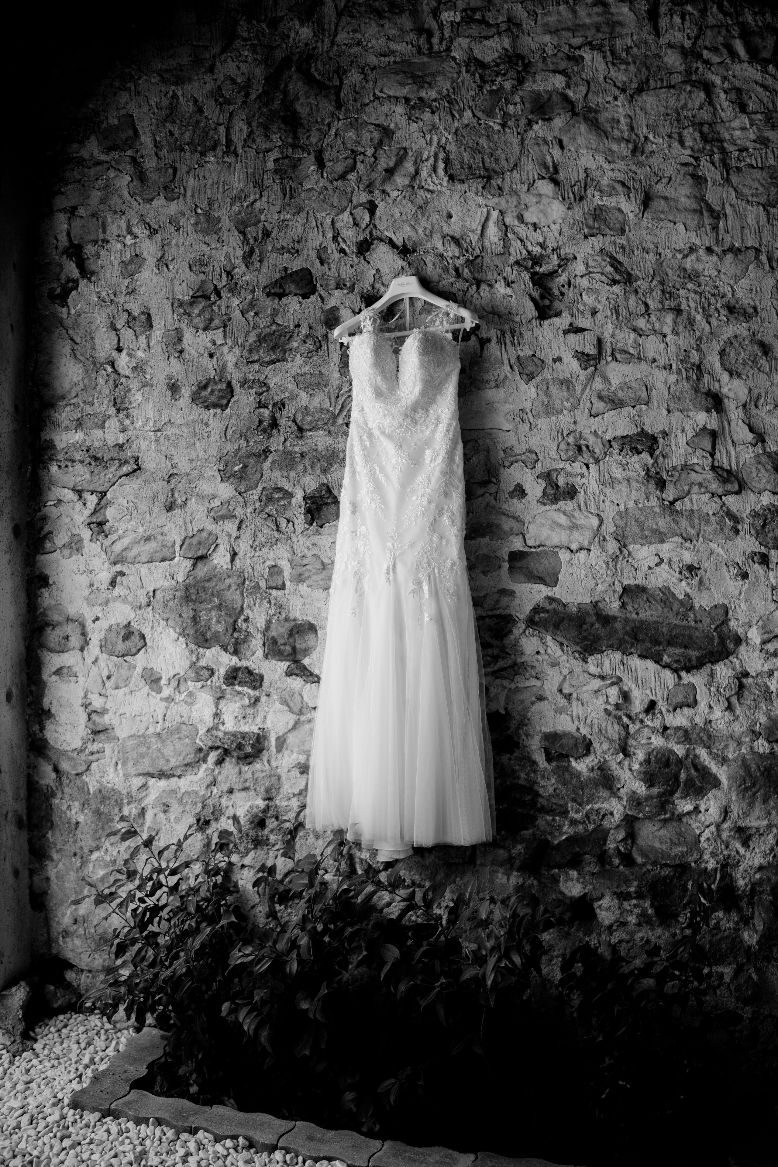 Anthony & Milena. NSJ — Wedding Studio