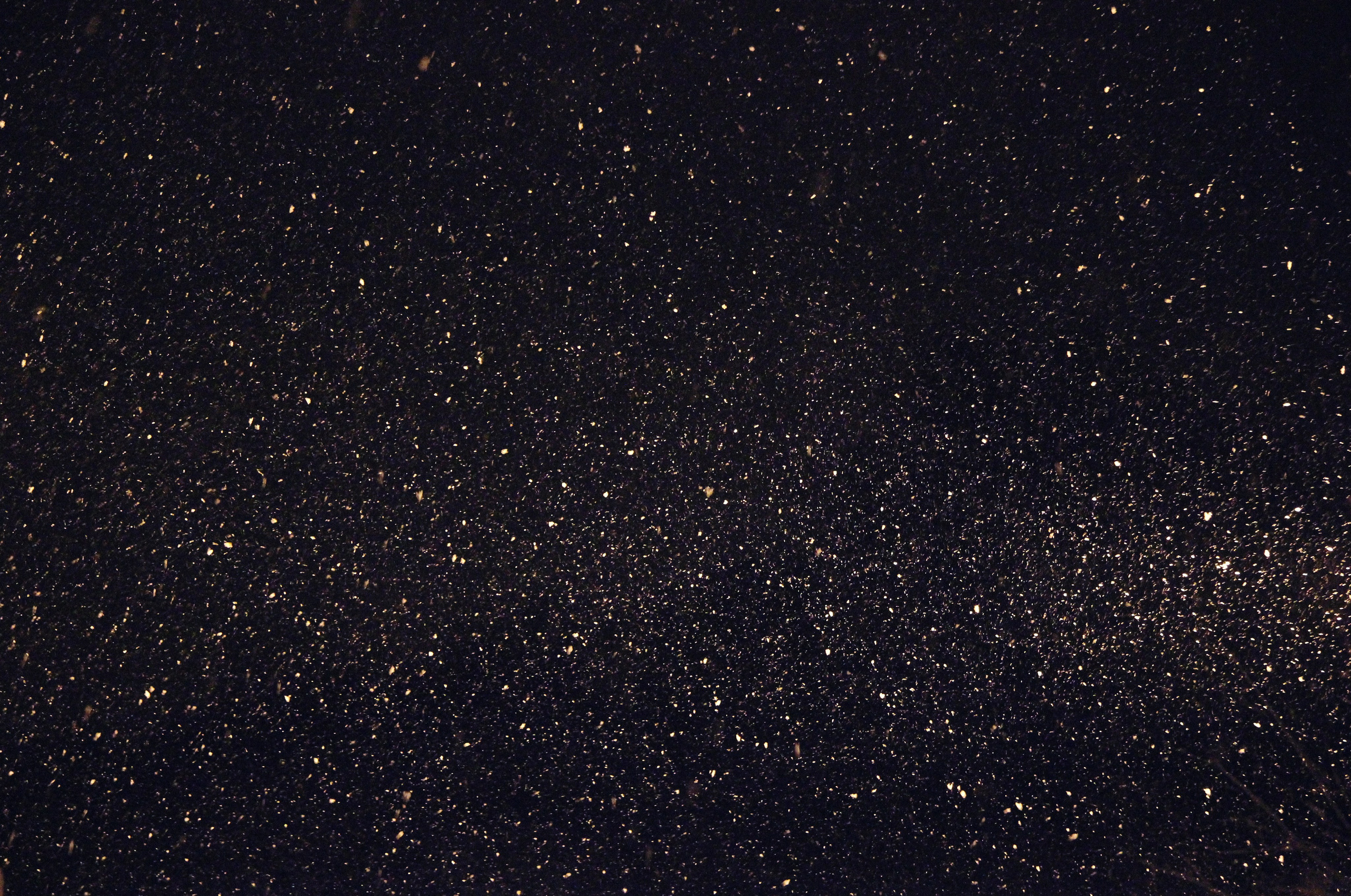 EXHIBITION. Lero Photographer and a set designer|individual custom portrait and advertising photography in Zutphen