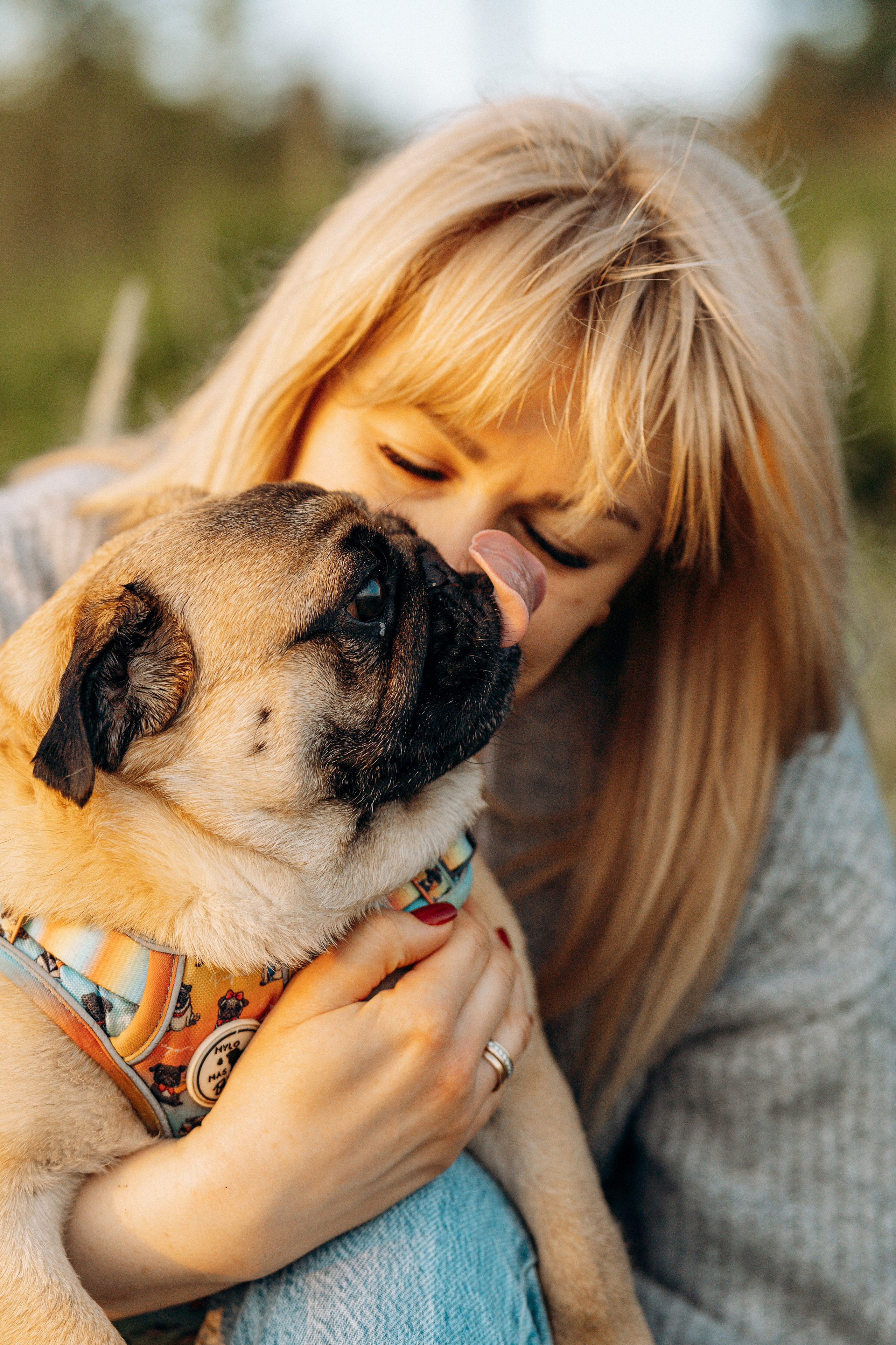 Frank, Tony, Katerina & Lev. Kat Laisaar — Pet photographer in Tallinn