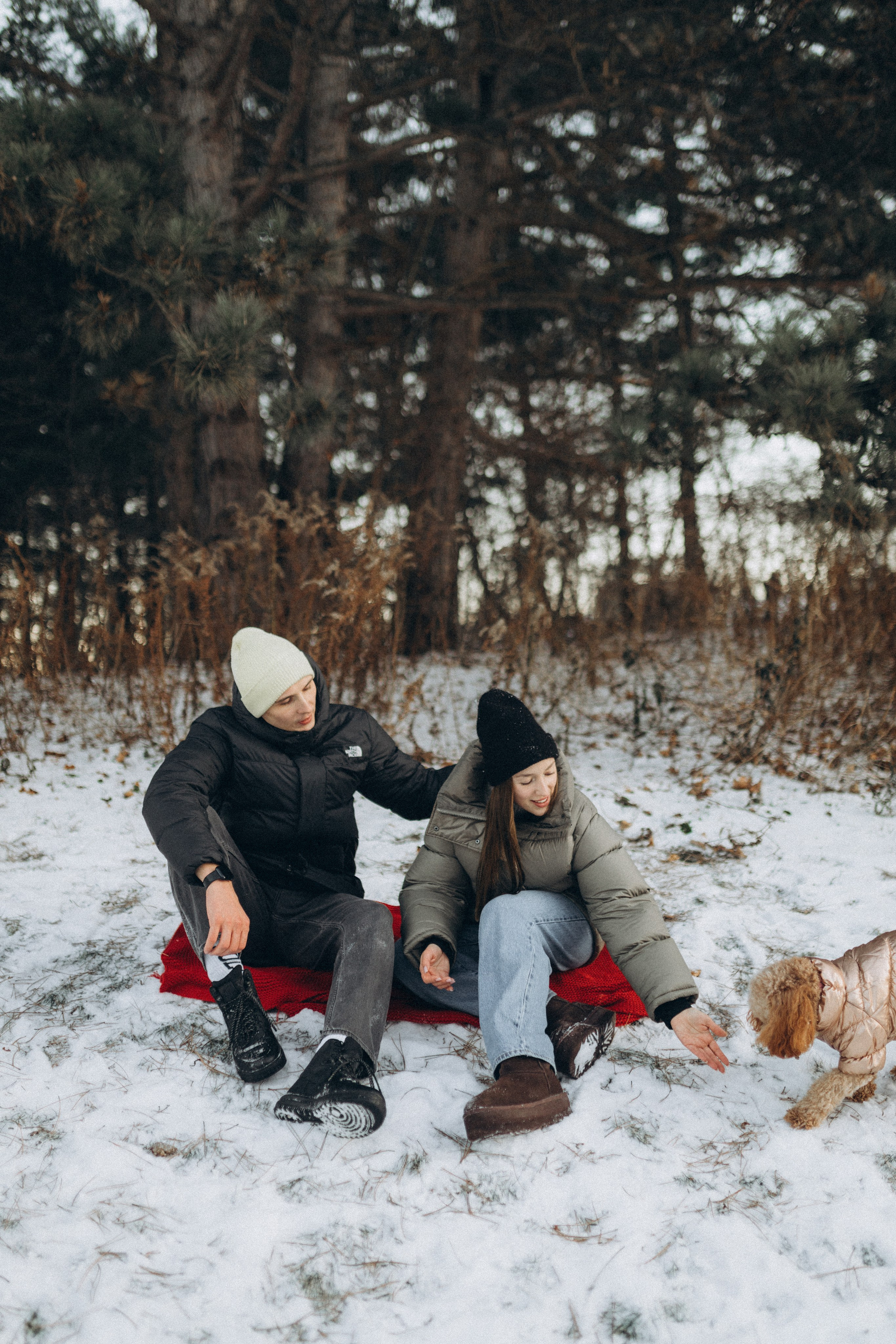 Winter magic. Chernenko.photography