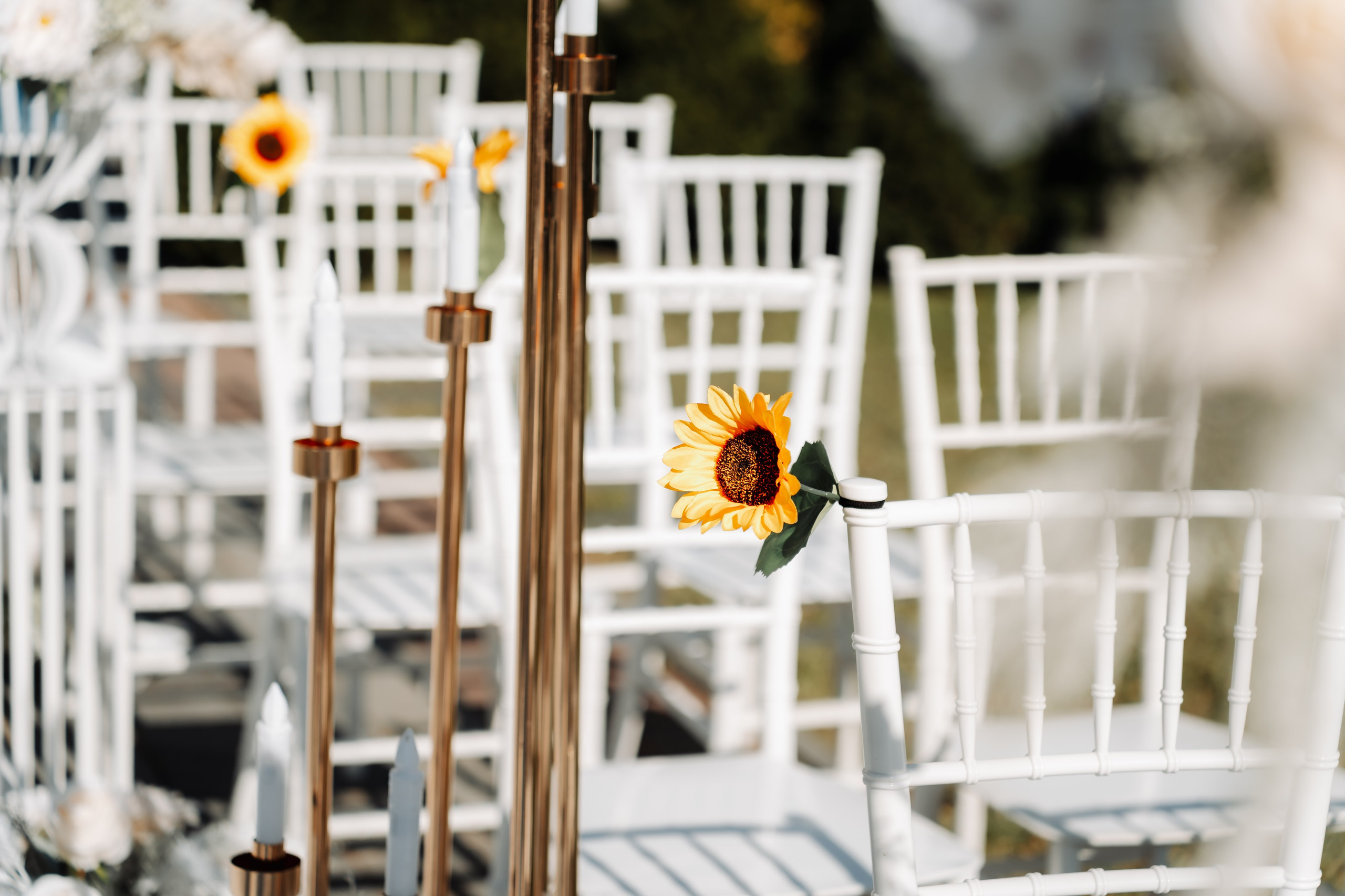 Andrada & Alex. Fotograf Nuntă în Gorj - Gabriel Vulpescu