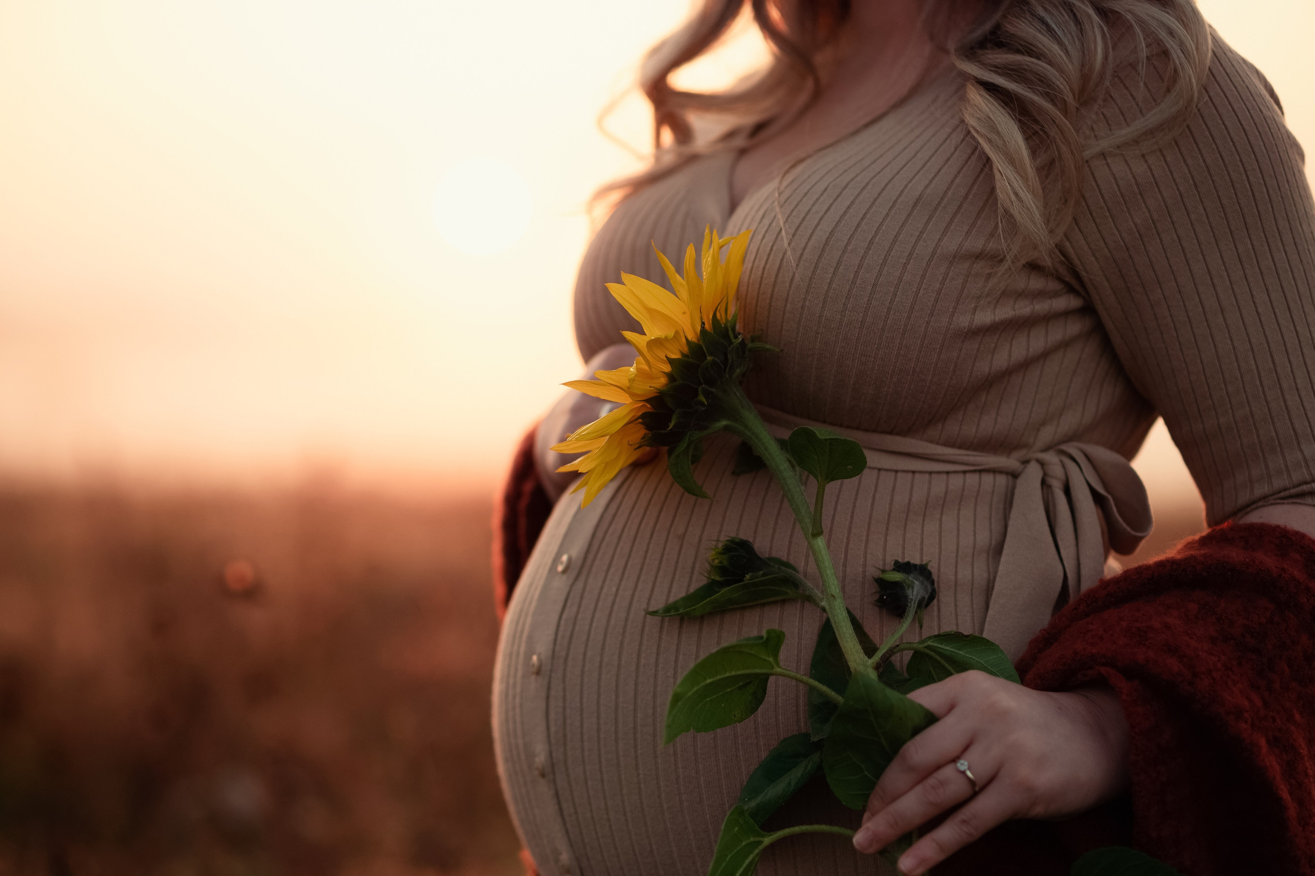 Babybauch. Lena Horch