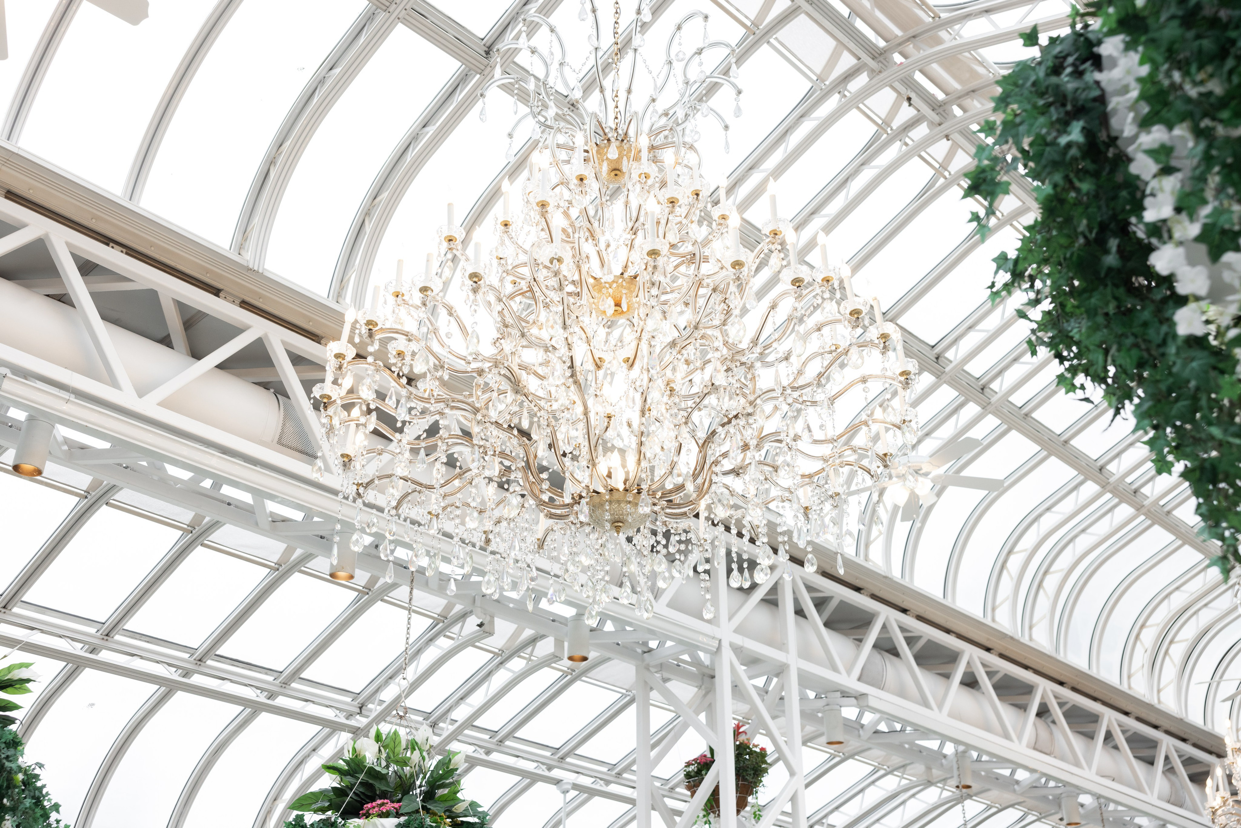 Michael & Ellie, The Medison Hotel, Morristown, NJ. Wedding Photo & Video