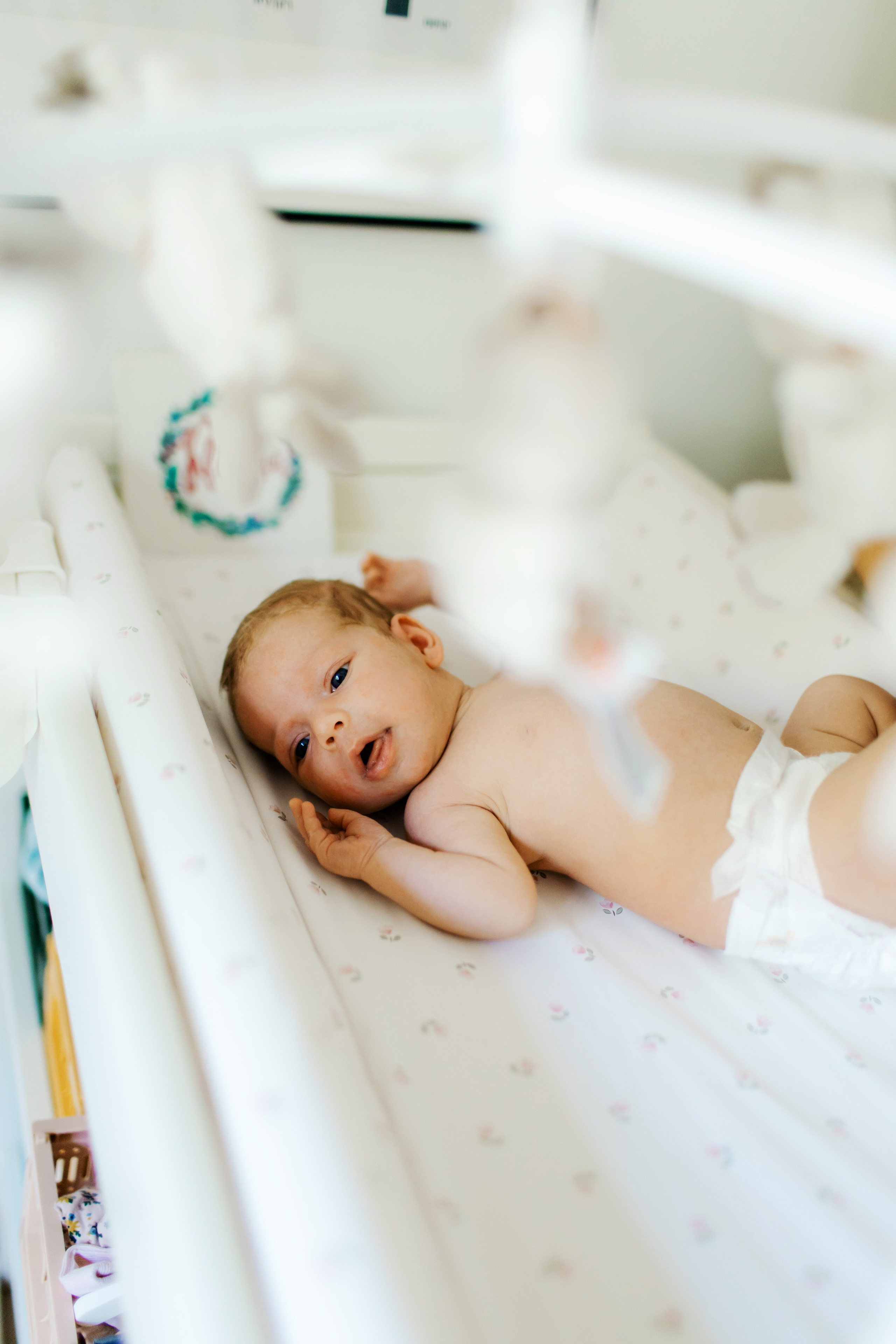 Ella 2 month. Family photographer in Israel