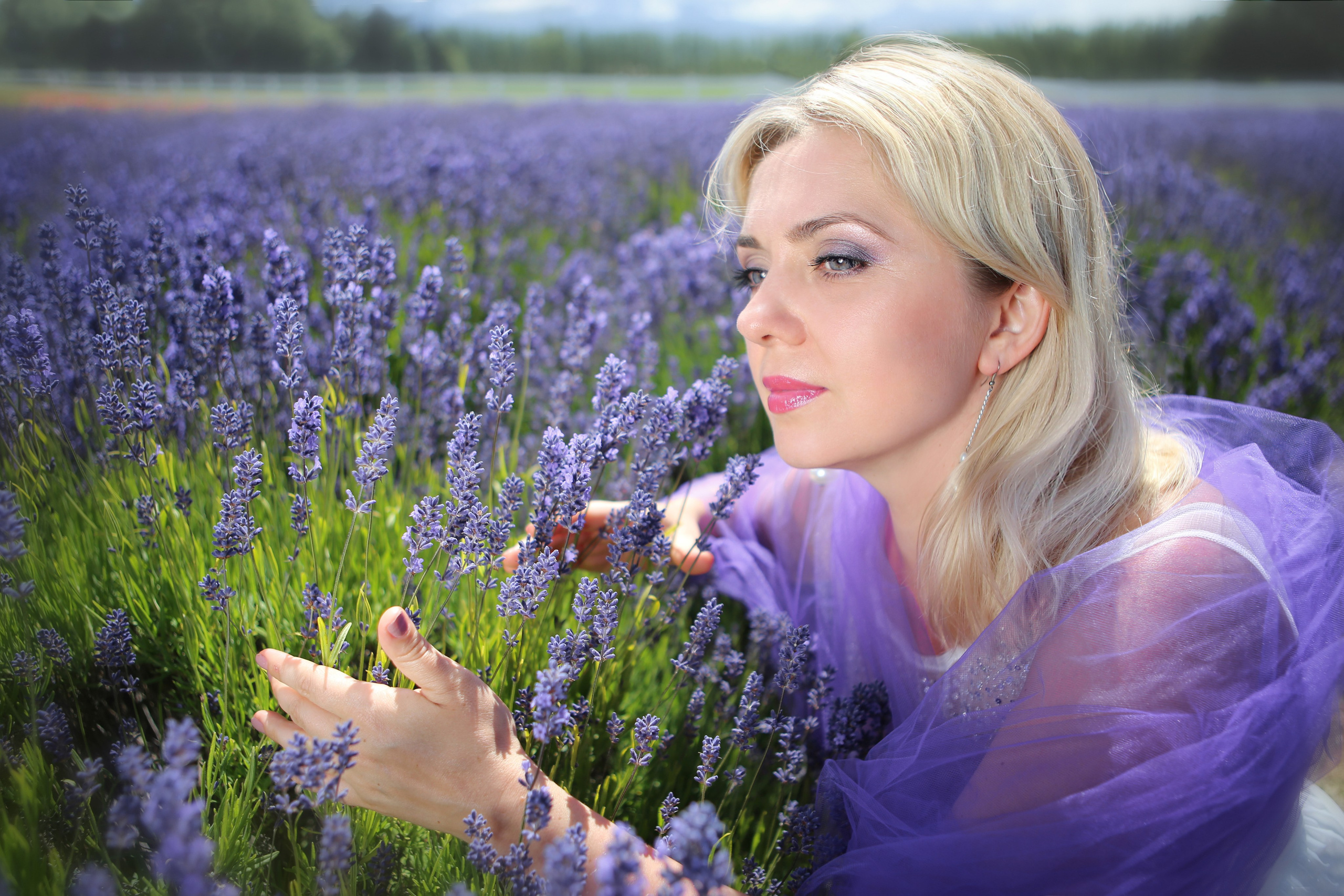 Lavender fields photoshoot. YuAnna studio. Family & Kids Photographer in Seattle area, located in