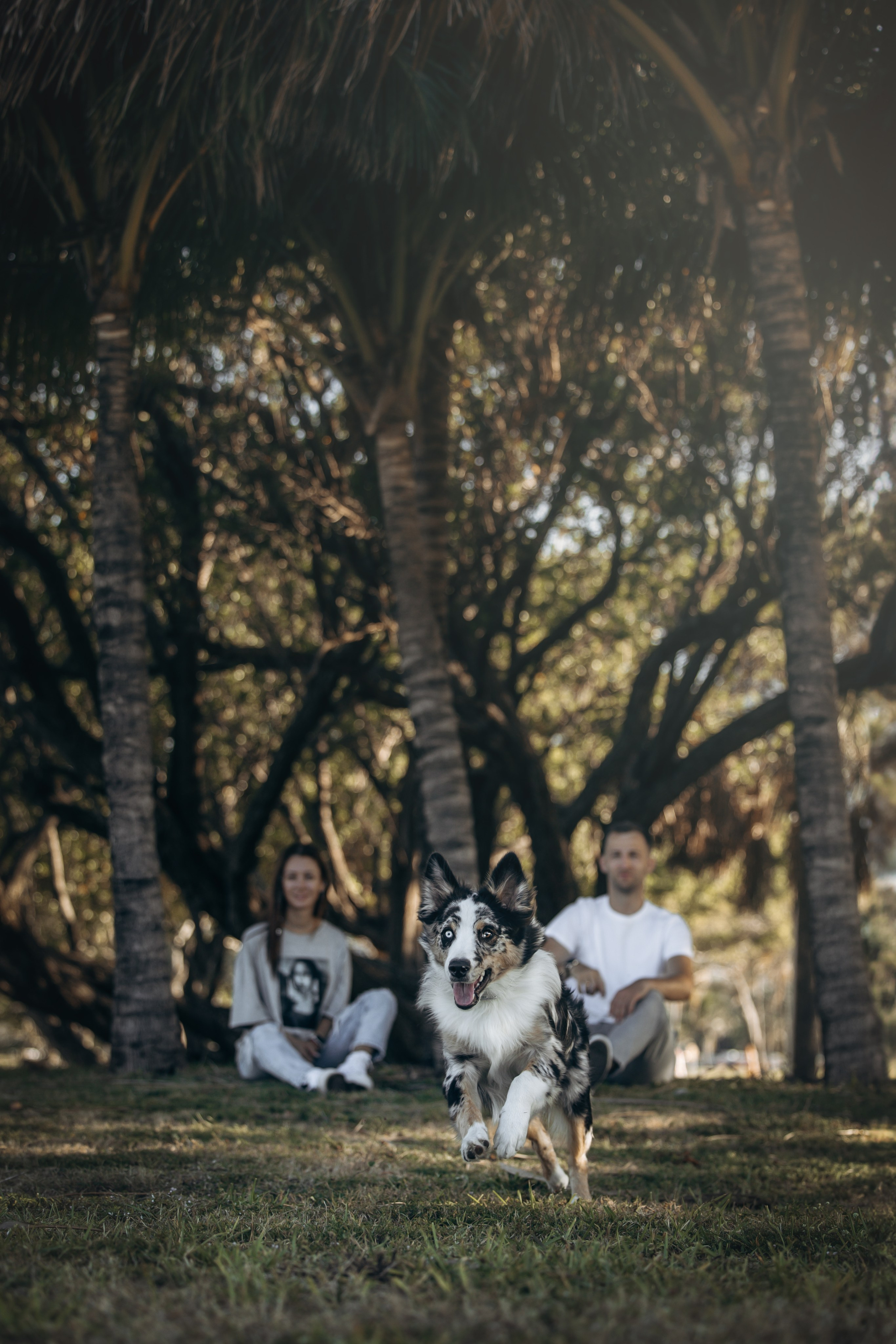 Gru, Marta & Vladimir. Pet Photographer Viktoriya Aleshenko