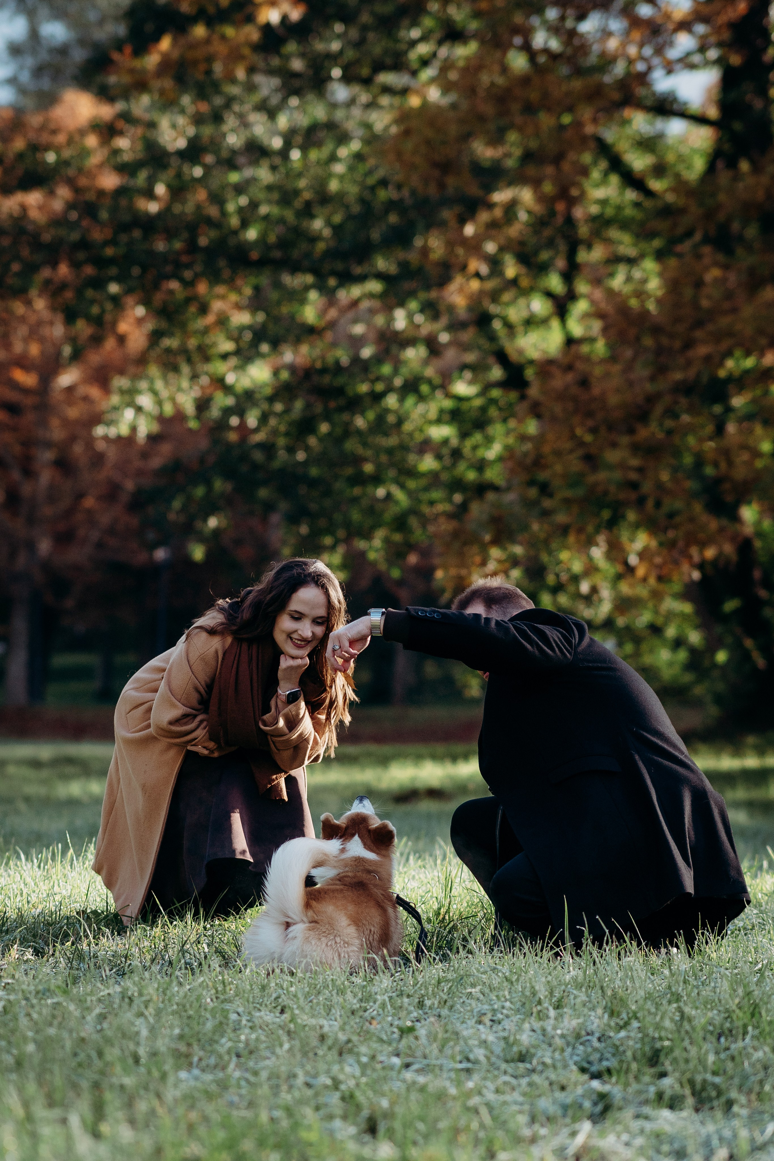 Liisa, Alexander & Marsel. Фотограф-анималист в Таллинне, Катя Лайсаар
