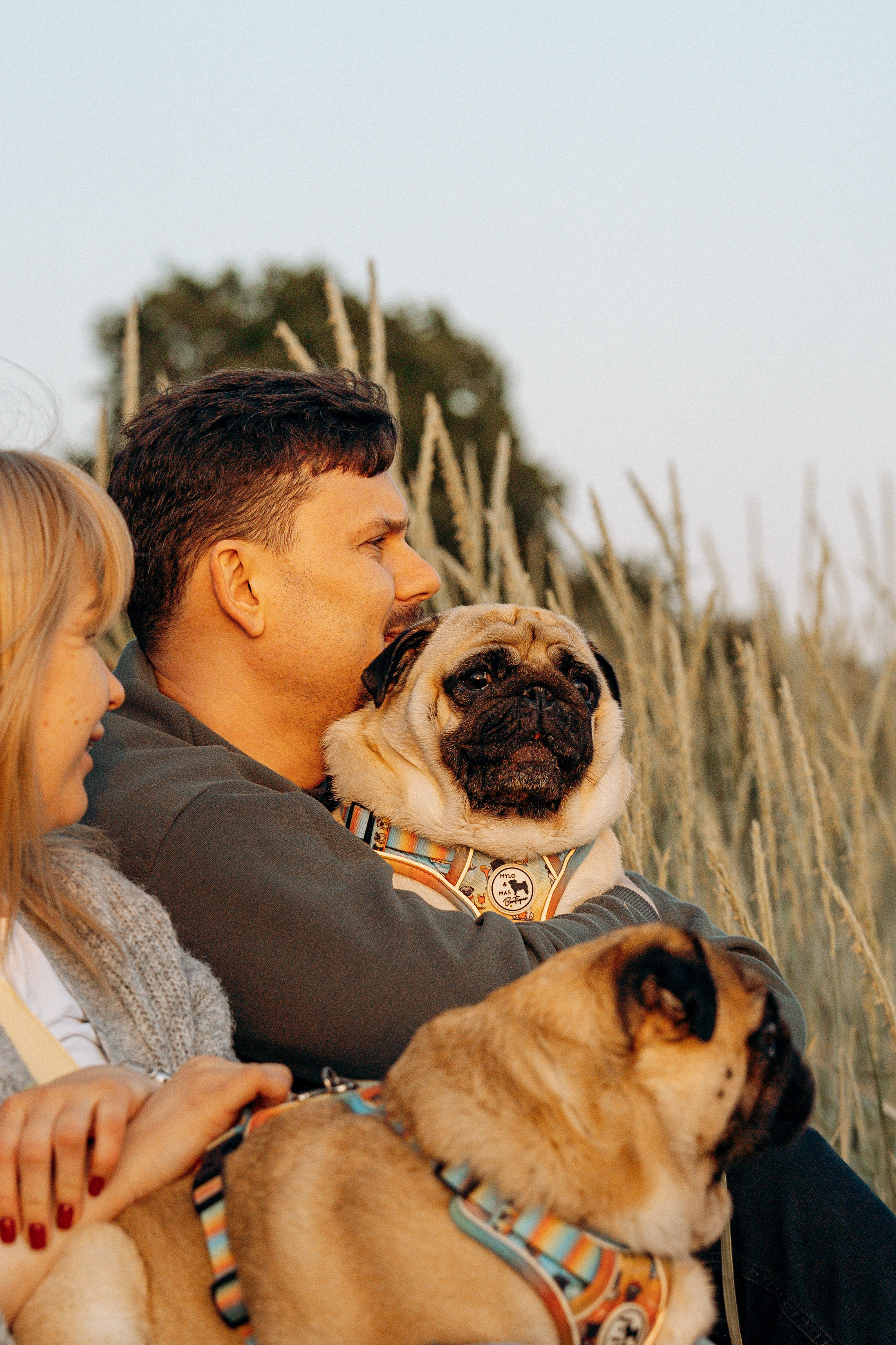 Frank, Tony, Katerina & Lev. Kat Laisaar — Pet photographer in Tallinn