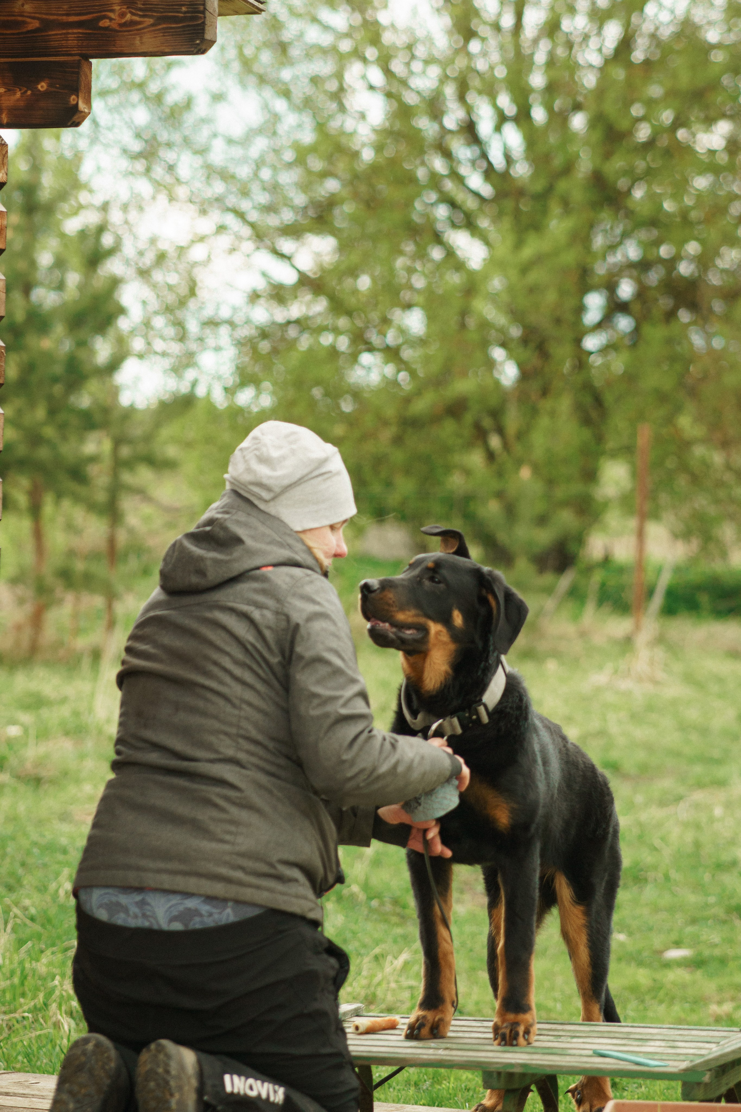 Herding Days, 26 apr. 2025. Kat Laisaar — Pet photographer in Tallinn