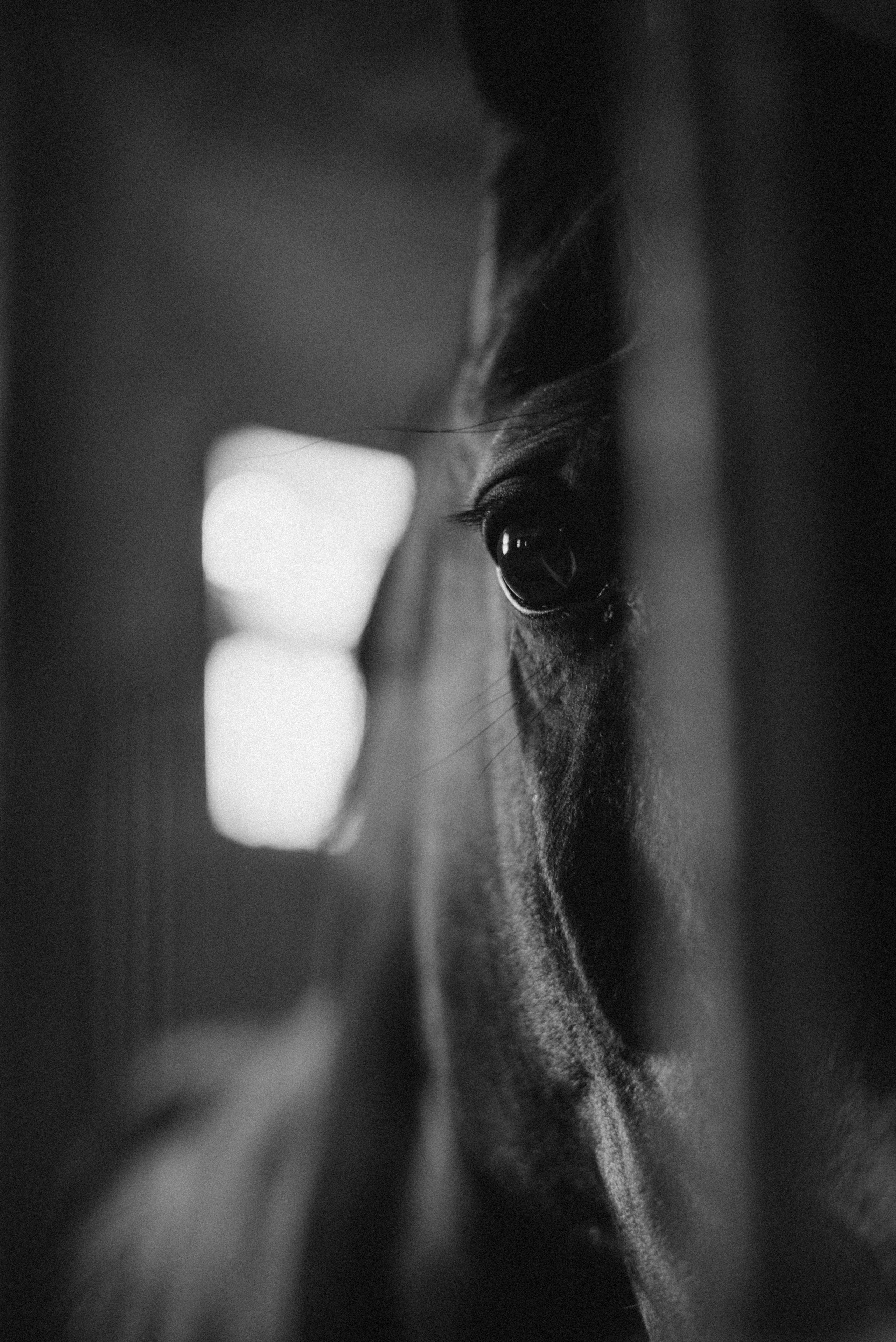 CAFE DEL PHOTO #96 «На грани». Школа Фотографии Романа Рыбалёва. Город Кишинёв, Молдова