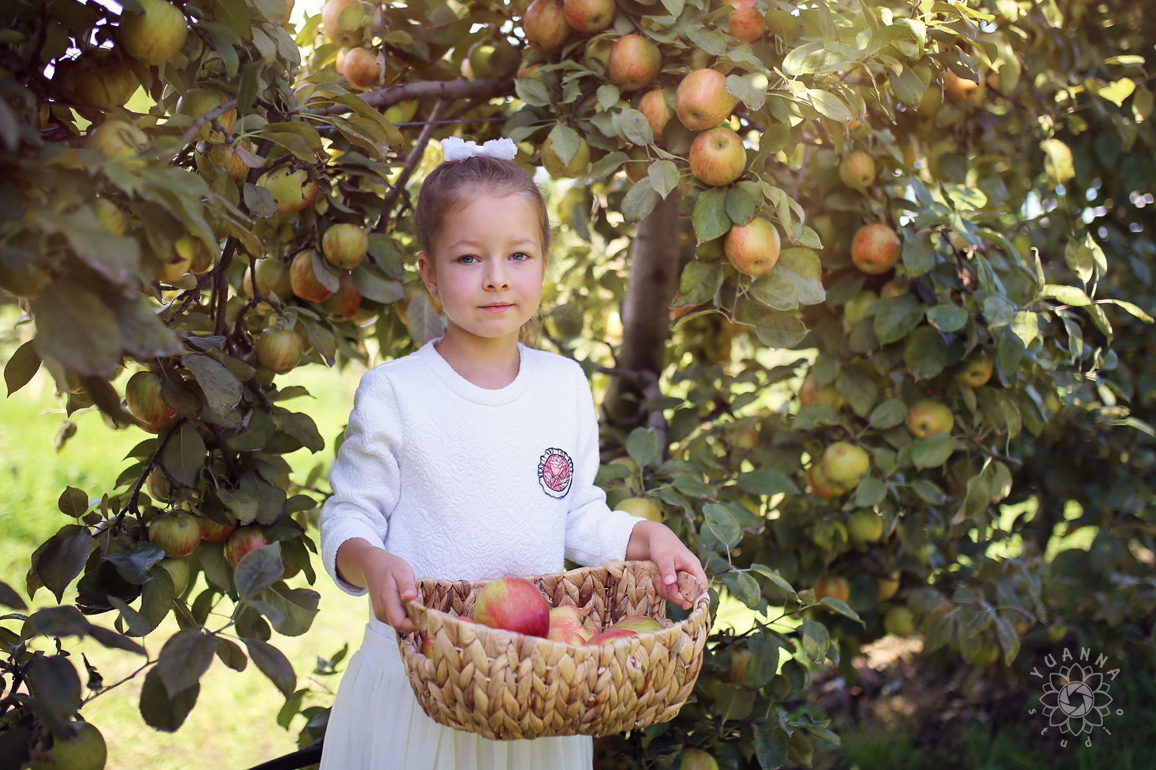 Fall. YuAnna studio. Family & Kids Photographer in Seattle area, located in