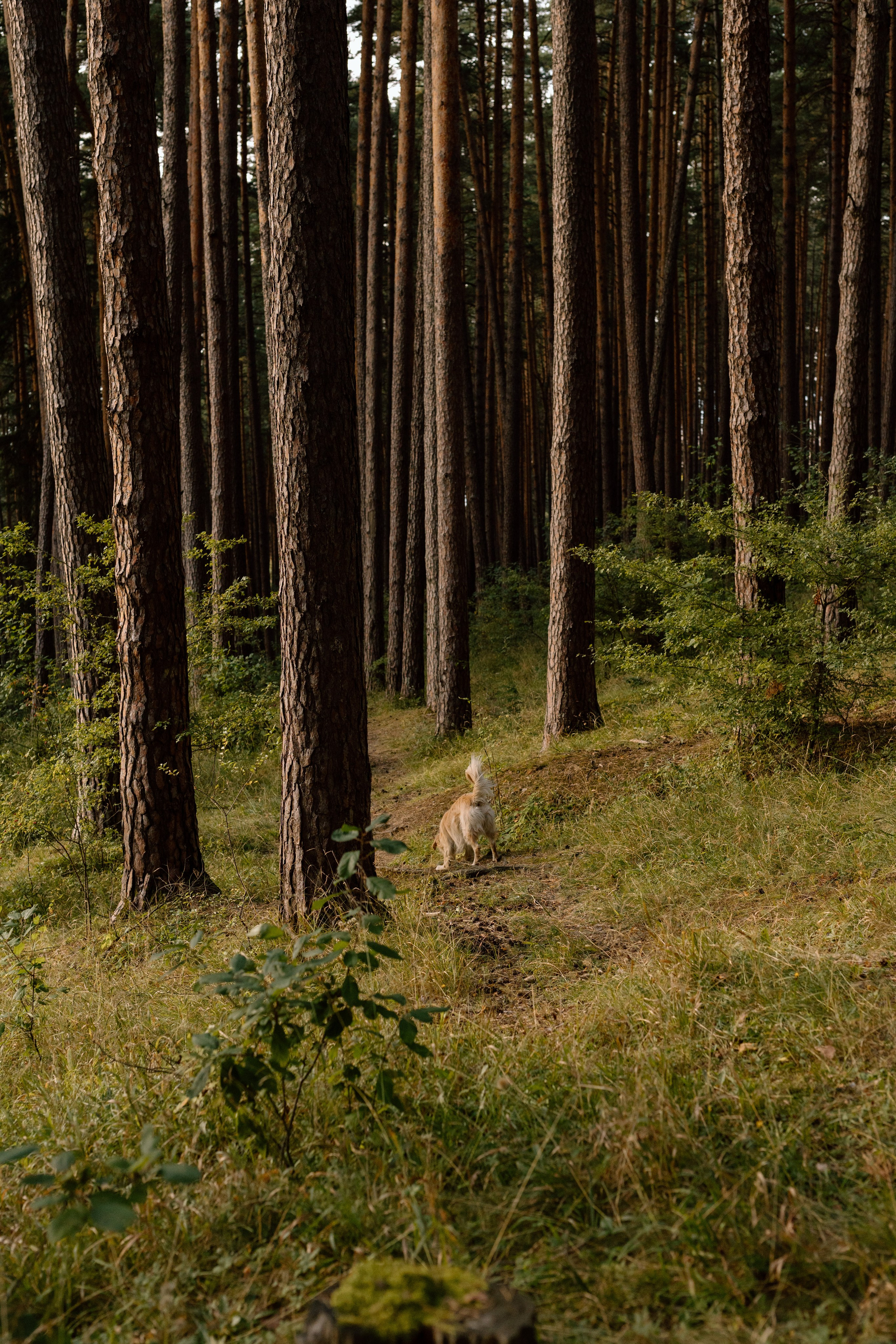 Sanziana, Daniel & Alexandru — Family. Main