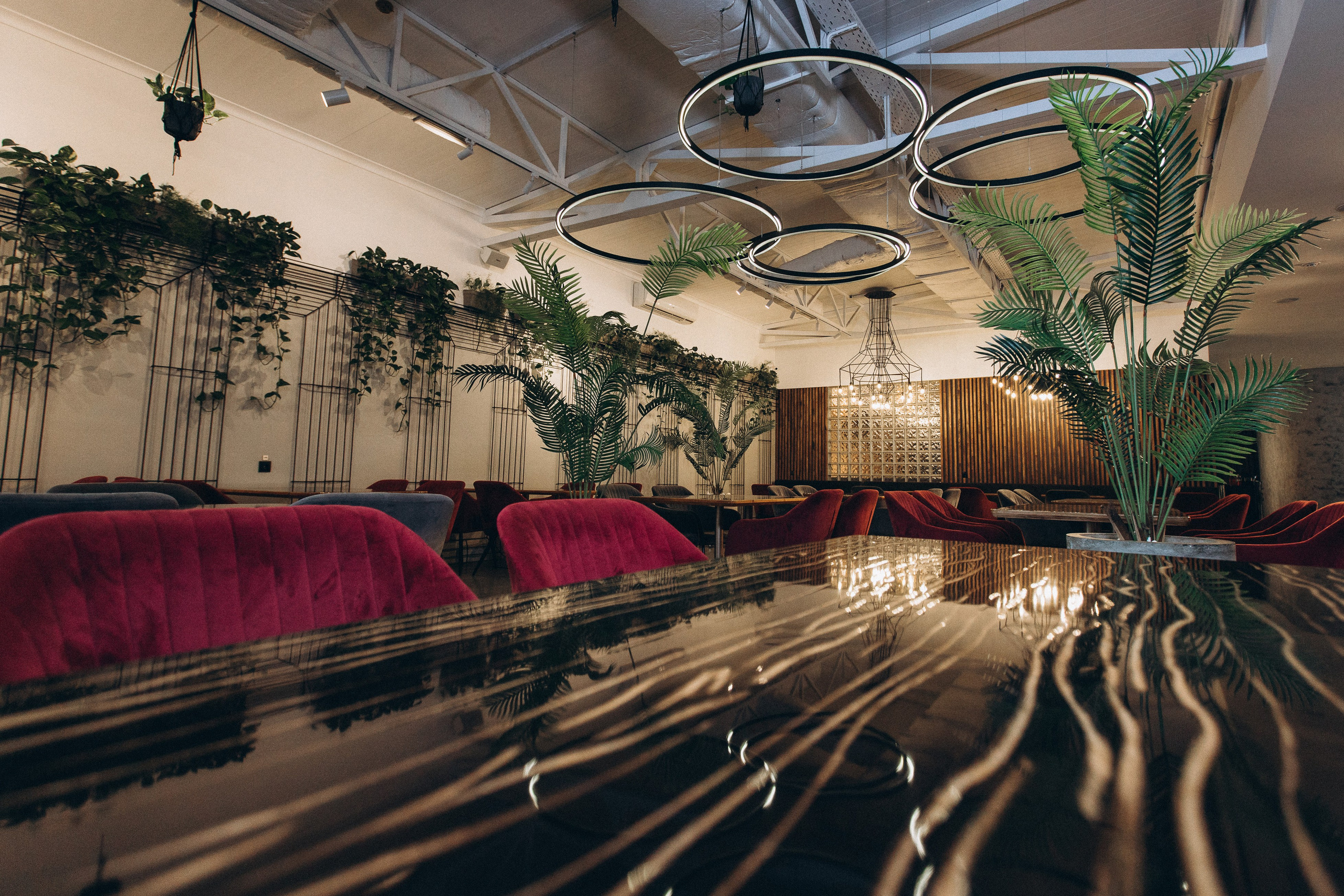 Мережа ресторанів Classic. Ірина Терещук