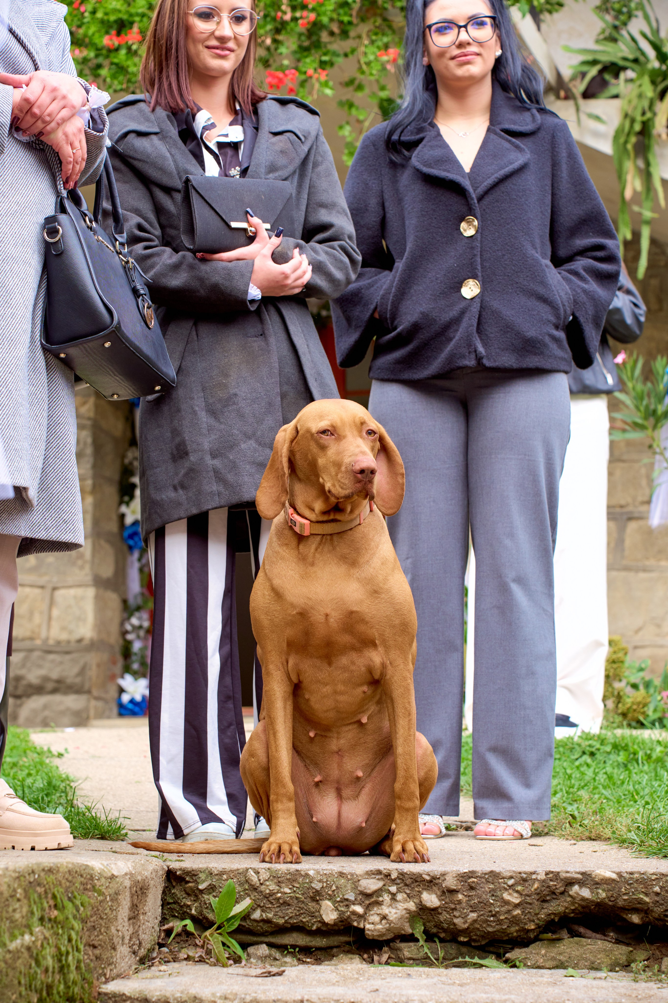 Ivana i Jefta. Marko Superio | Wedding & Portrait Photographer