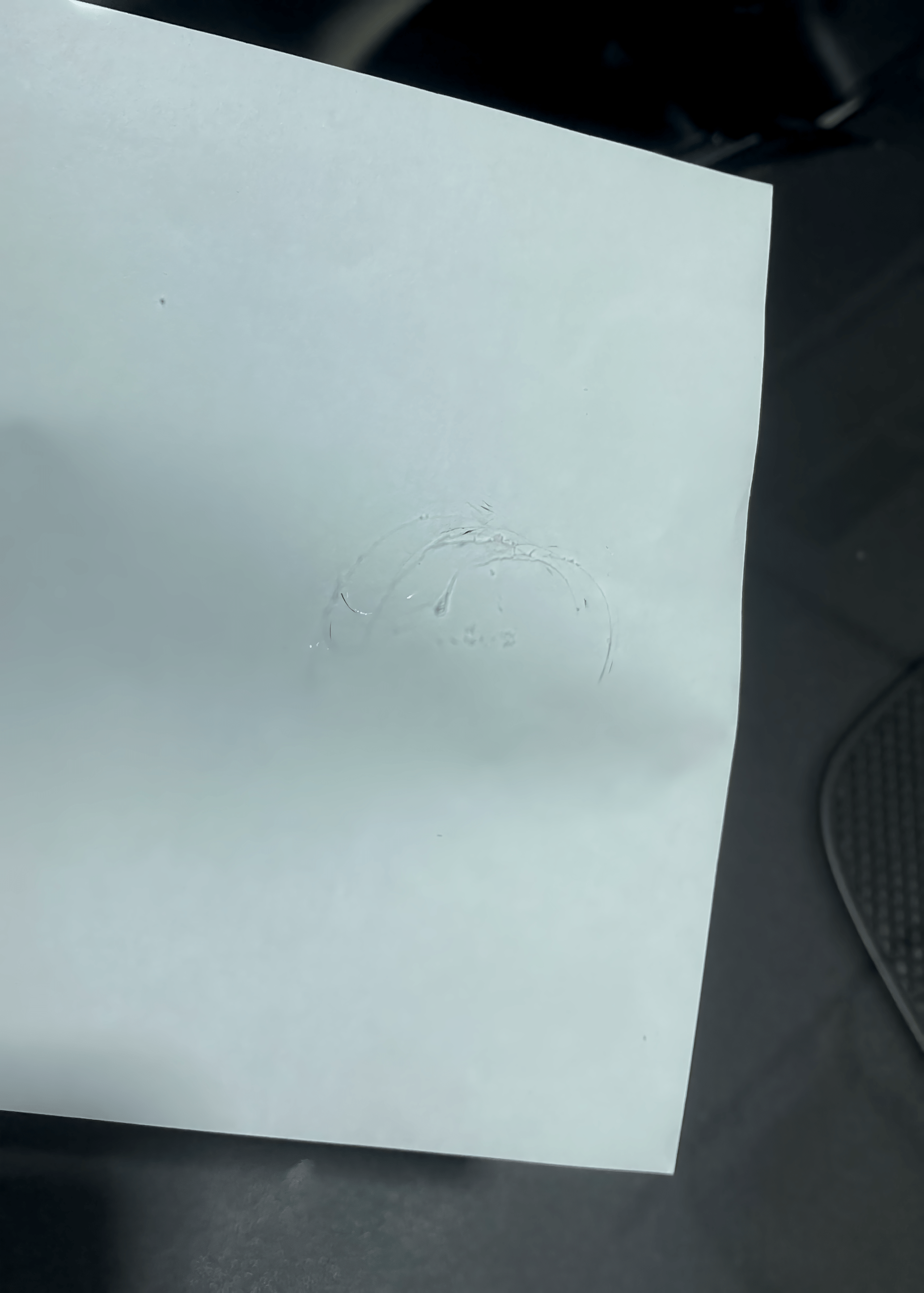 Ваше лобовое стекло заслуживает второй шанс. Чиним сколы!