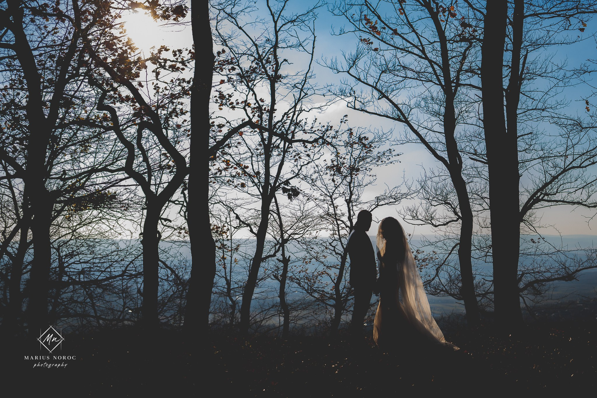 Alexandra & Alin | Padurea Bucium Iasi