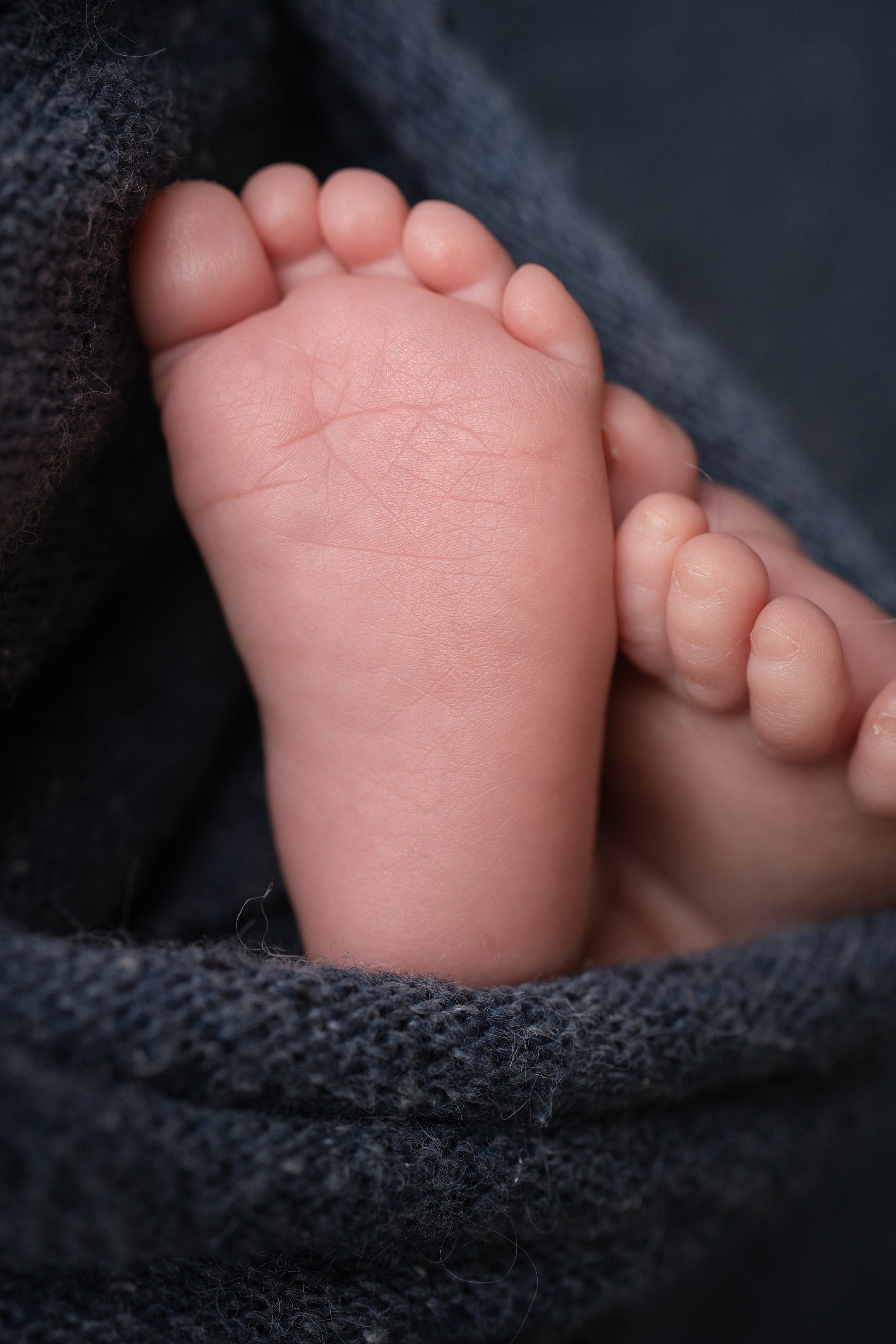 Newborn. Julia Bolgov Photography | Newborn, Family, Maternity & Milestone Photographer in Bay Area, CA