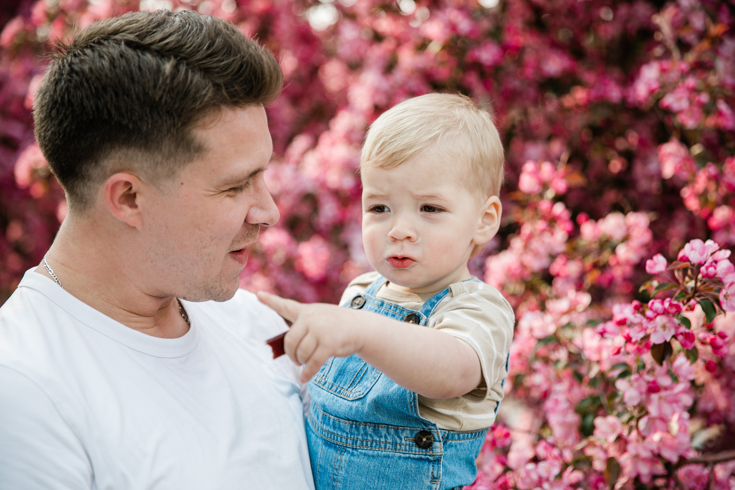 Pitchers Family Photos — Cherry Blossom. Fotografía accesible en Calgary