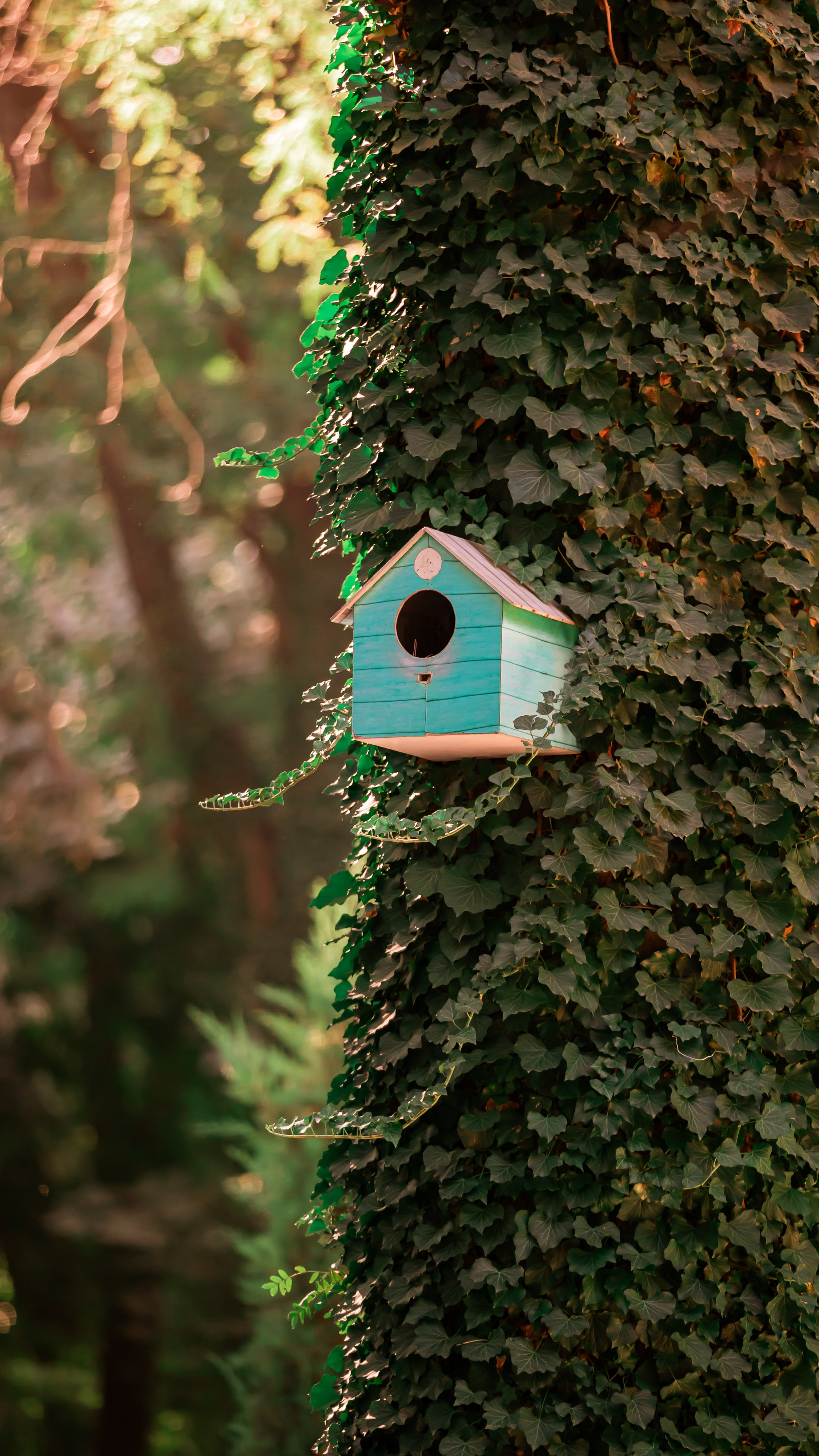 Репортажная фотосъёмка. Яркие моменты, запечатленные в каждом кадре