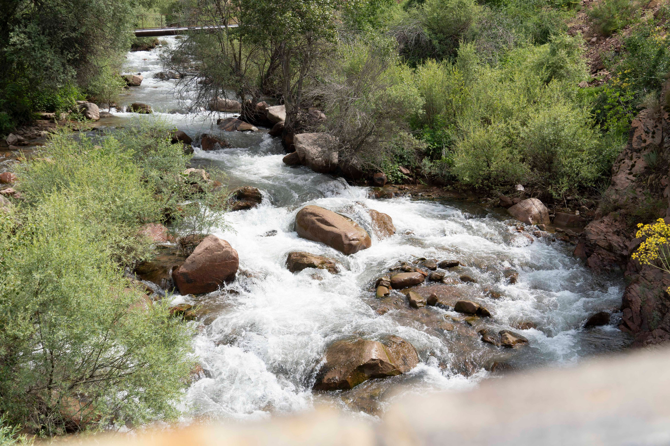 Wildlife Photography Programme (British Council x MOC). Melikov Amir, Uzbekistan based photographer