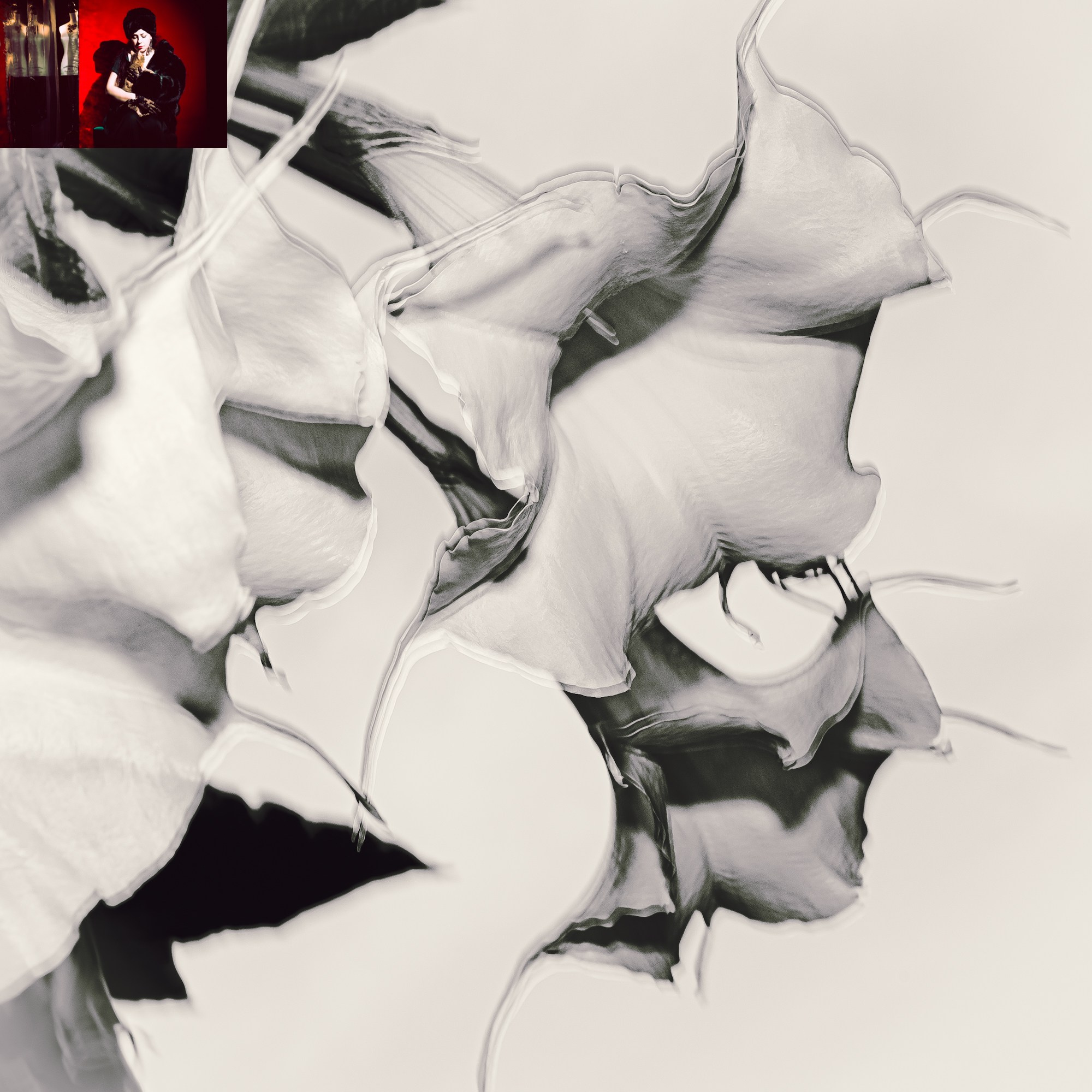 Portraits of Park Residents. Ekaterina Tsurkina-Appina Photography Canada