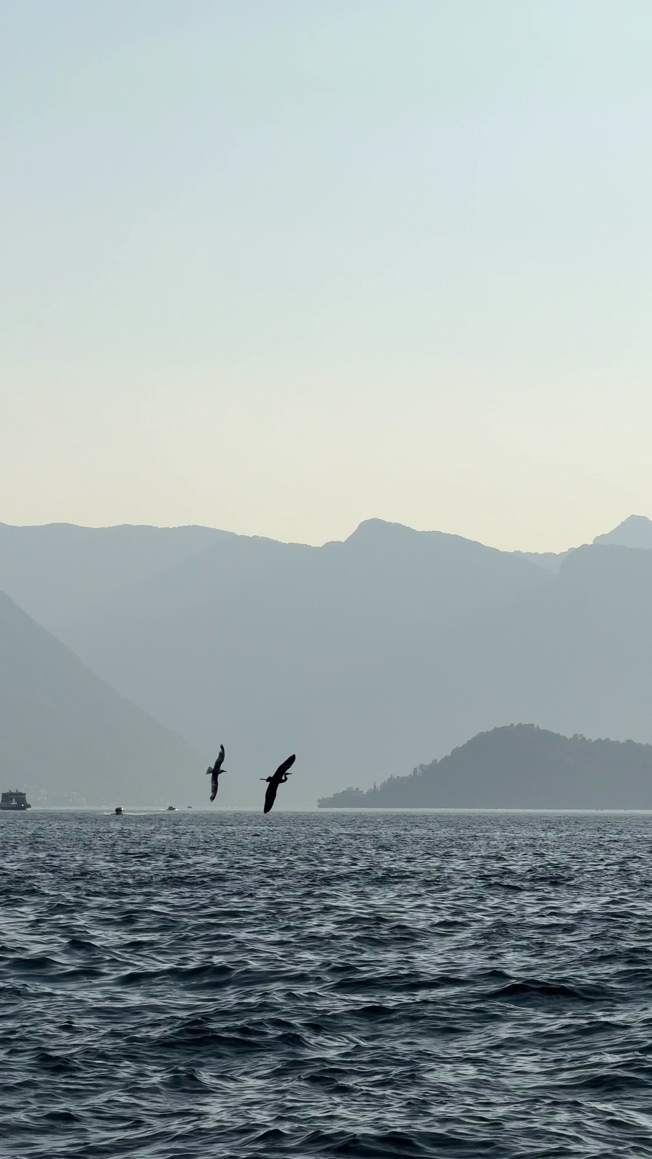 CONTENT CREATION. ALEX ZARIES, WEDDING VIDEOGRAPHER