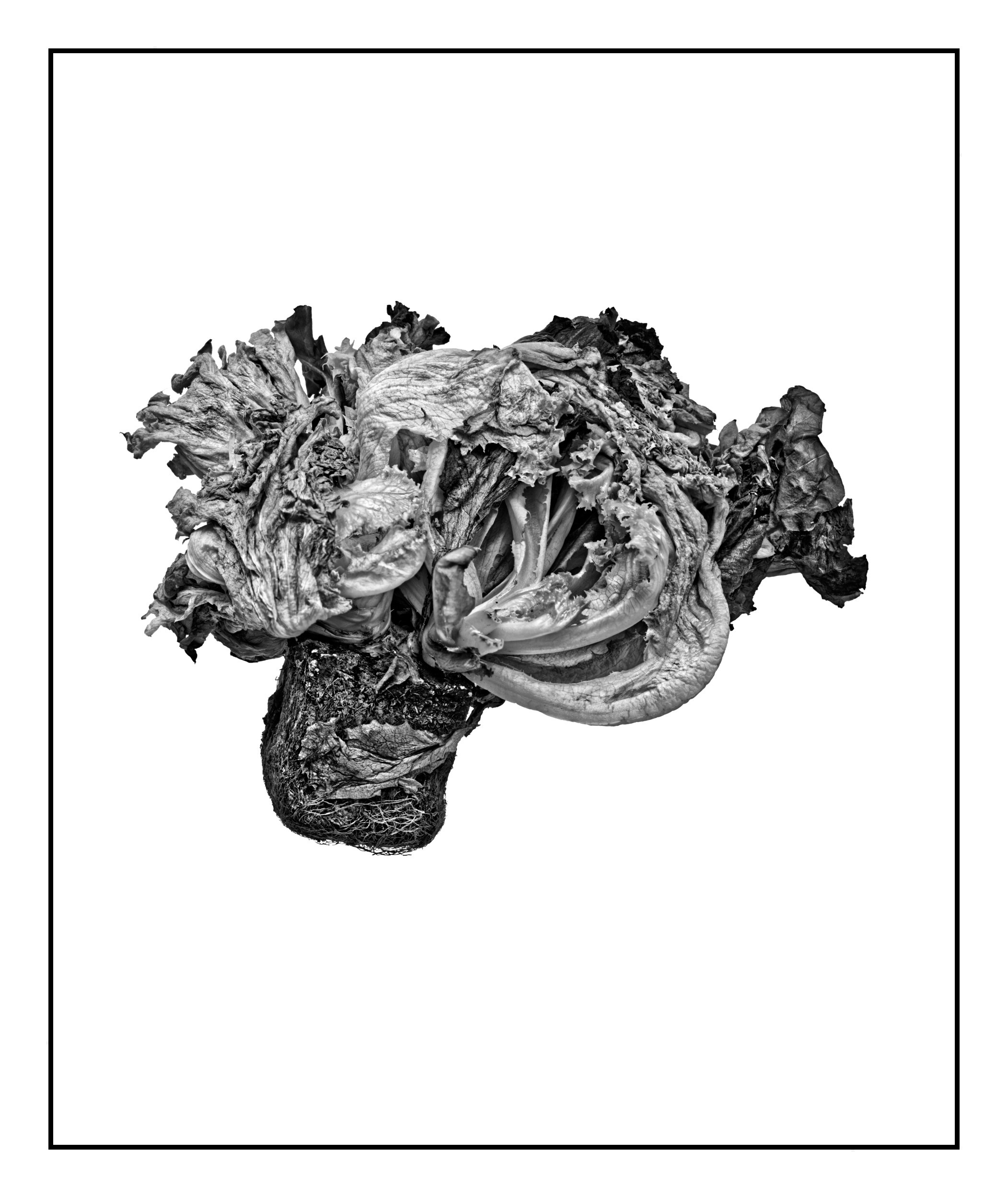 Still Life. Igor Mokhovyk — Portrait Photographer in Germany (Berlin and Worldwide